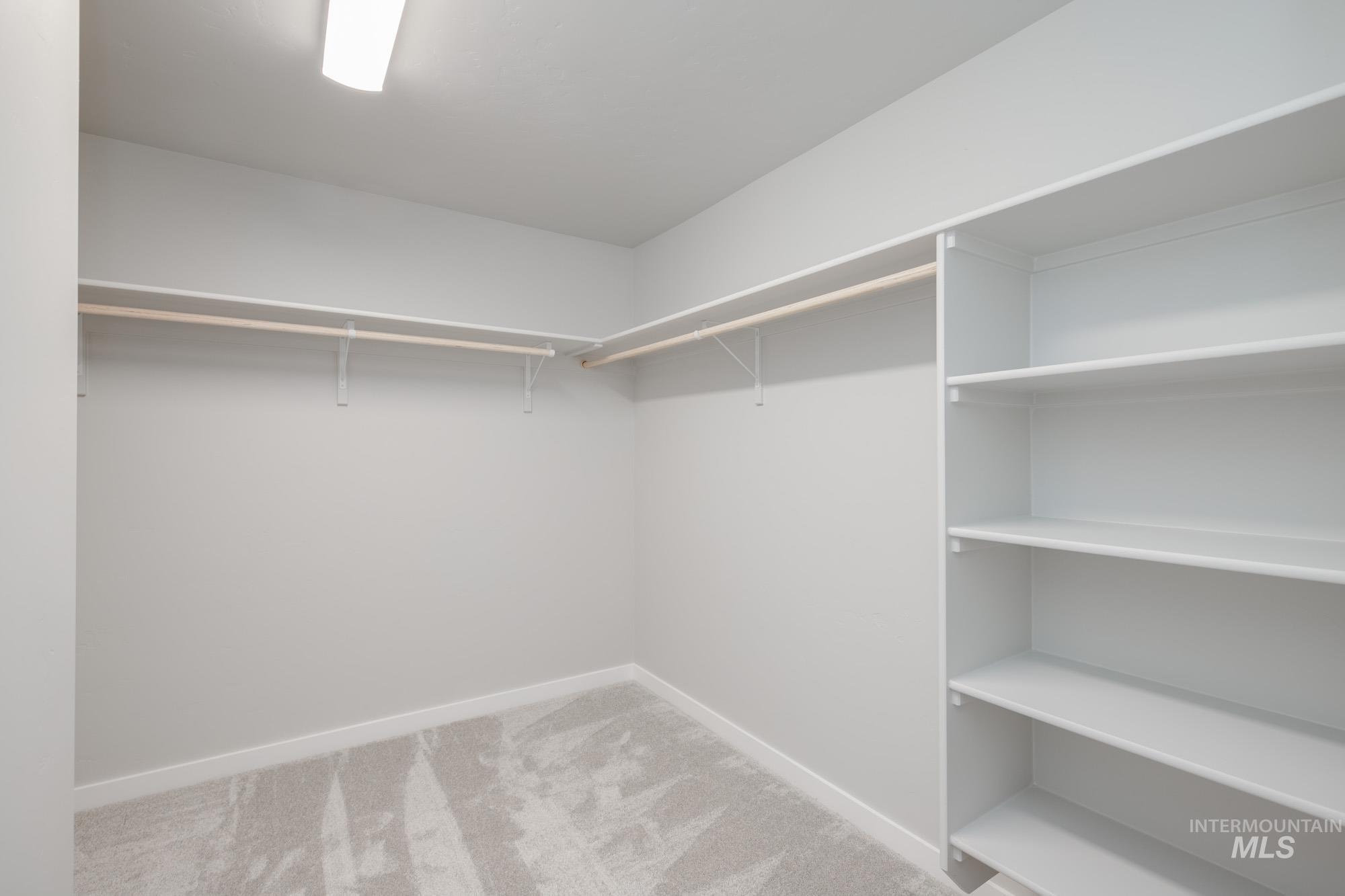 Walk in closet featuring light carpet