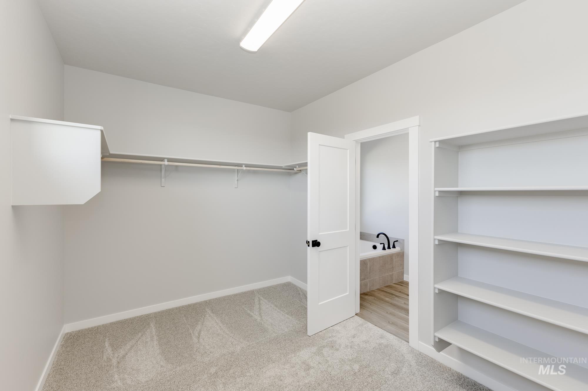 Walk in closet with light colored carpet