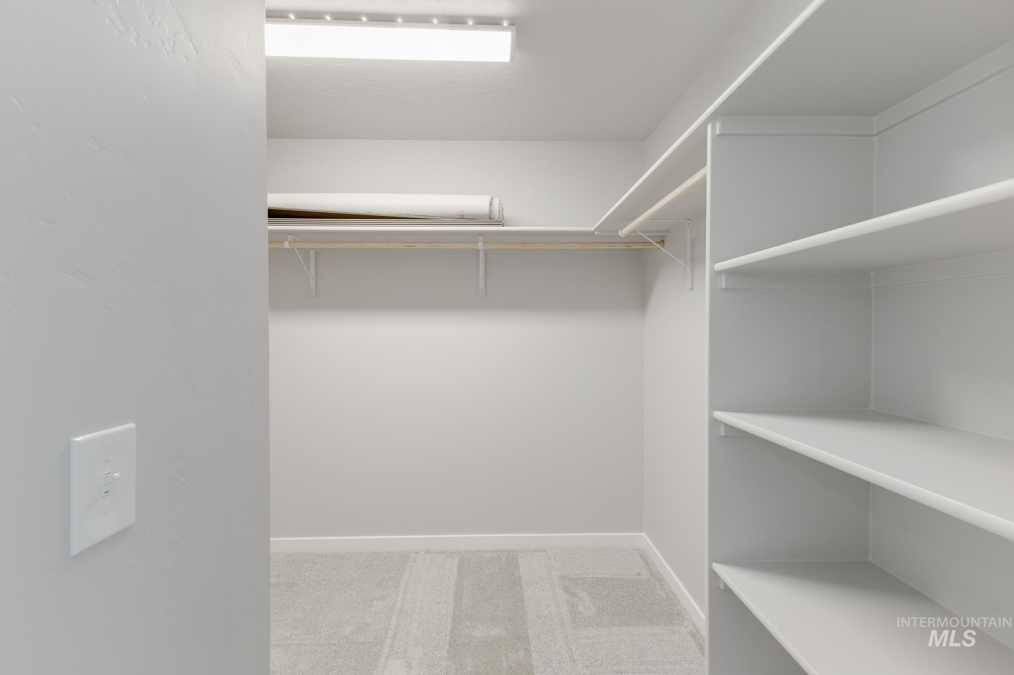 Spacious closet with light carpet