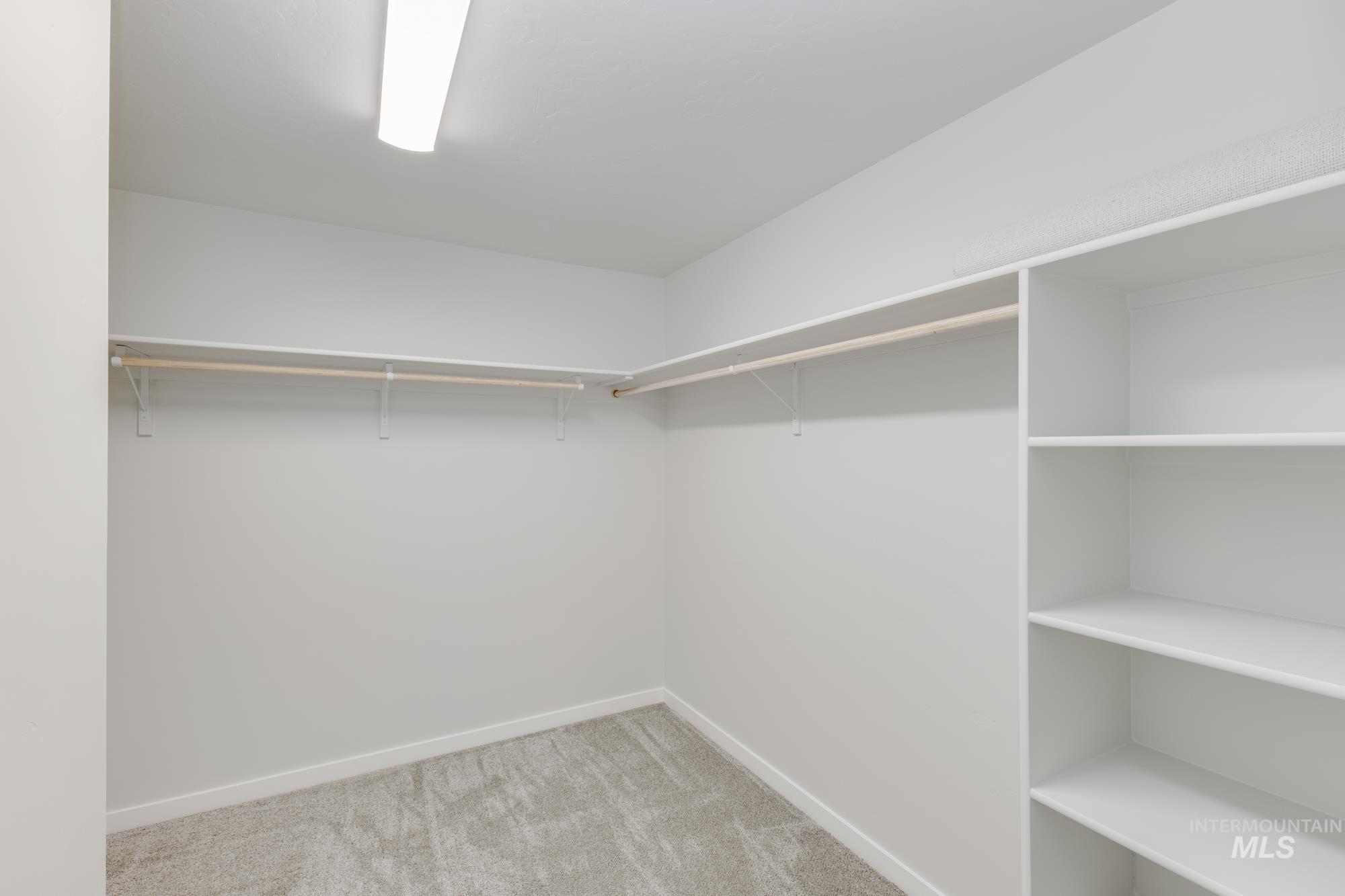 Walk in closet featuring carpet