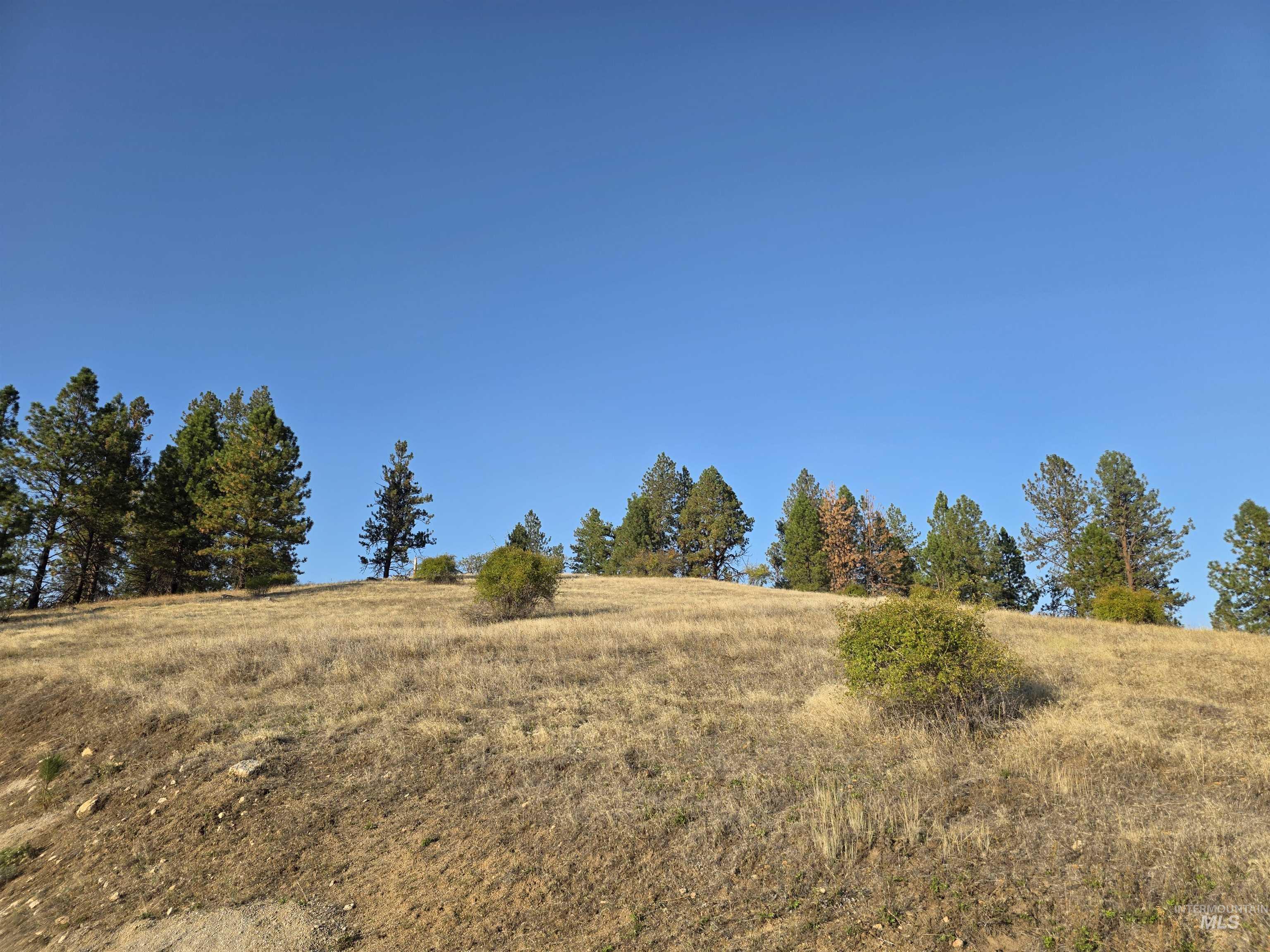 View of undeveloped land with rural landscape