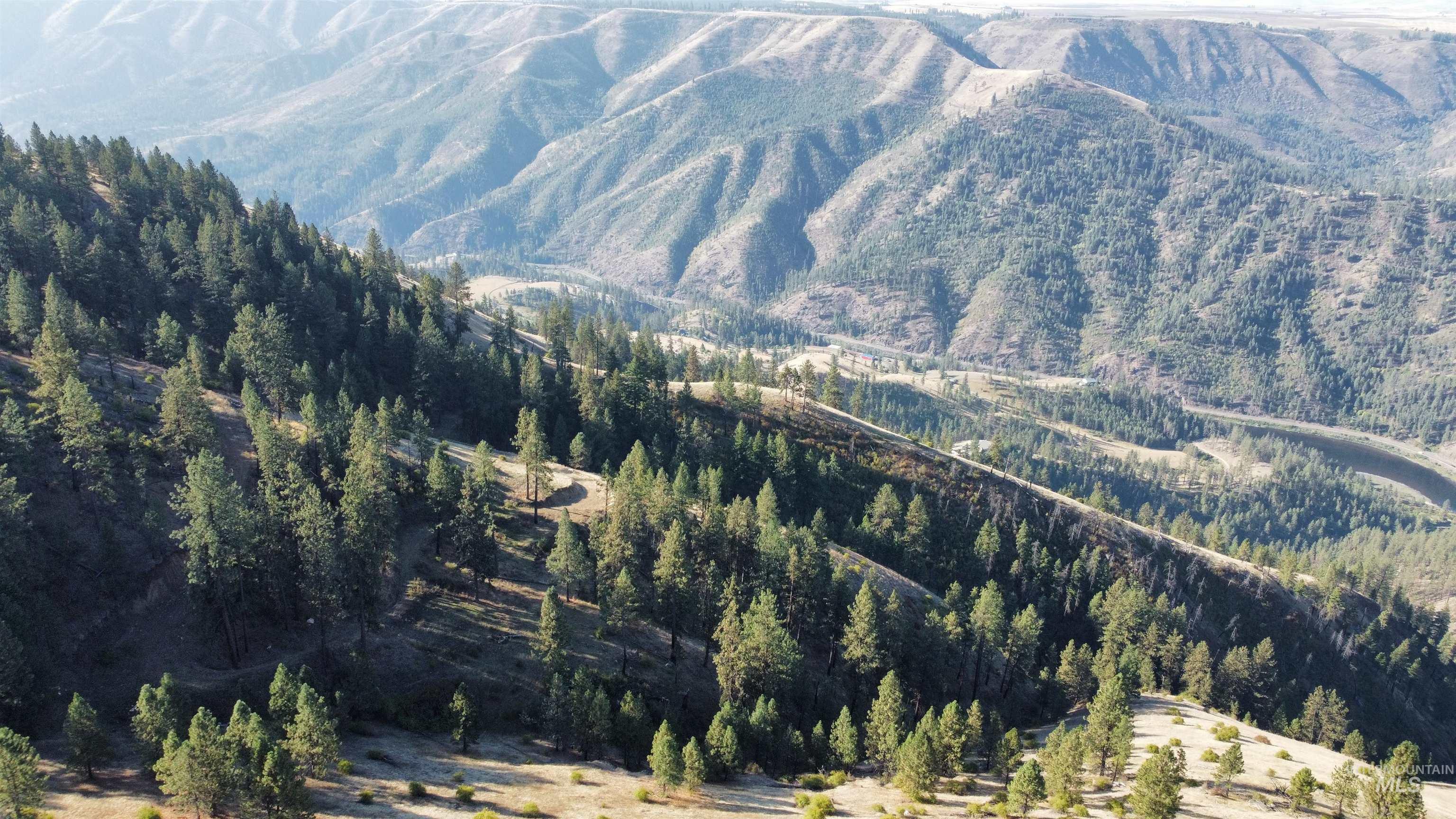 View of mountain backdrop with a heavily wooded area