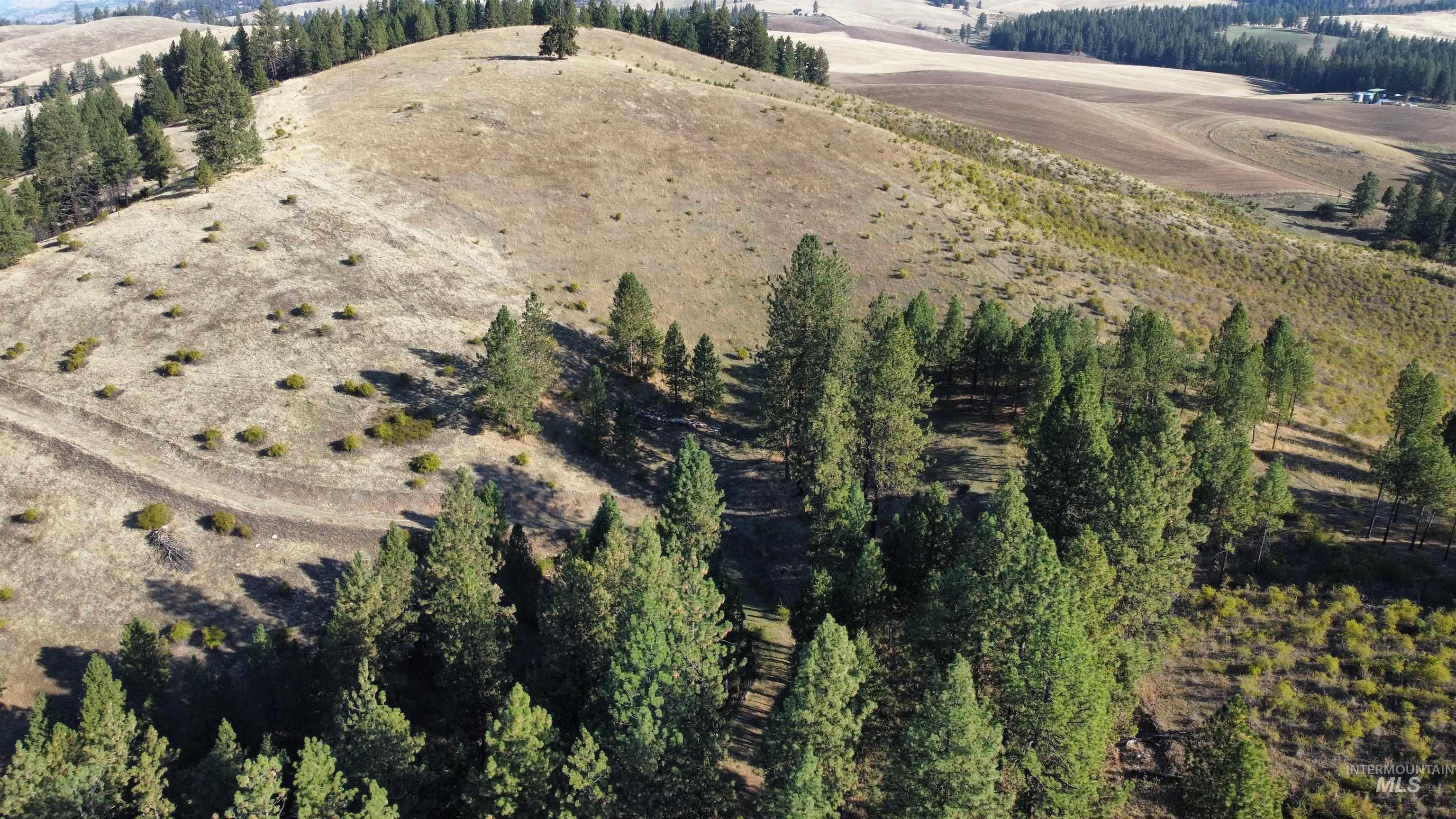Aerial overview of property's location