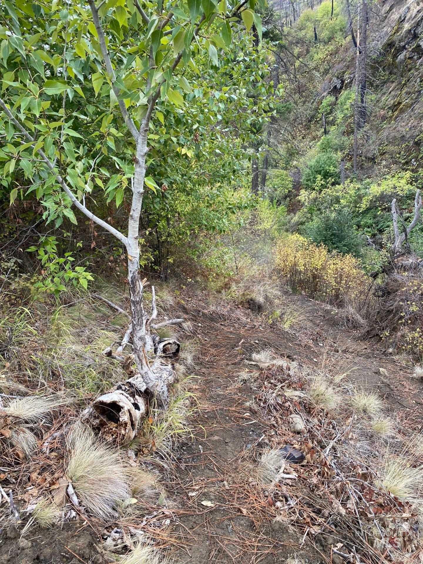 View of undeveloped land
