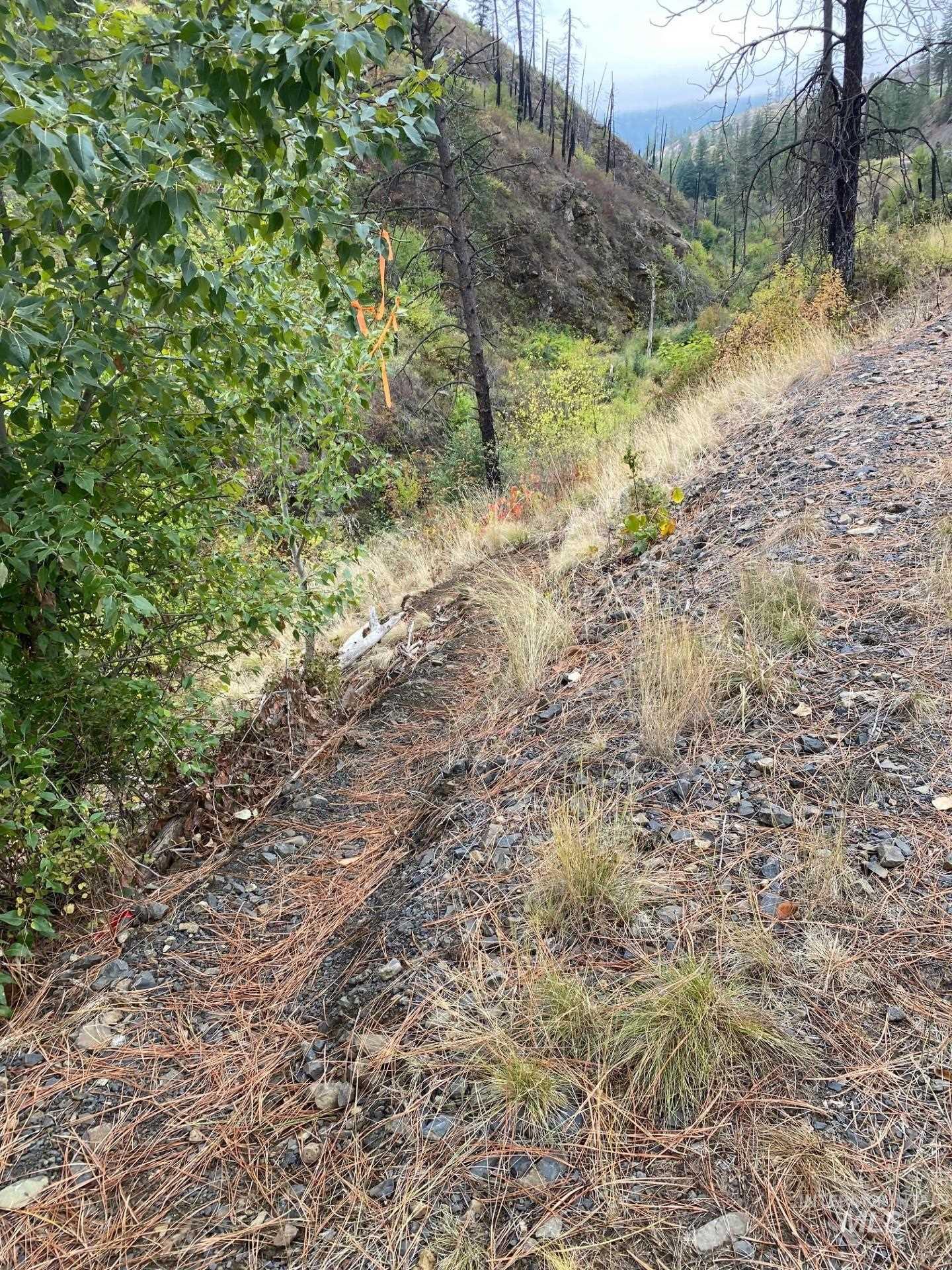 View of undeveloped land
