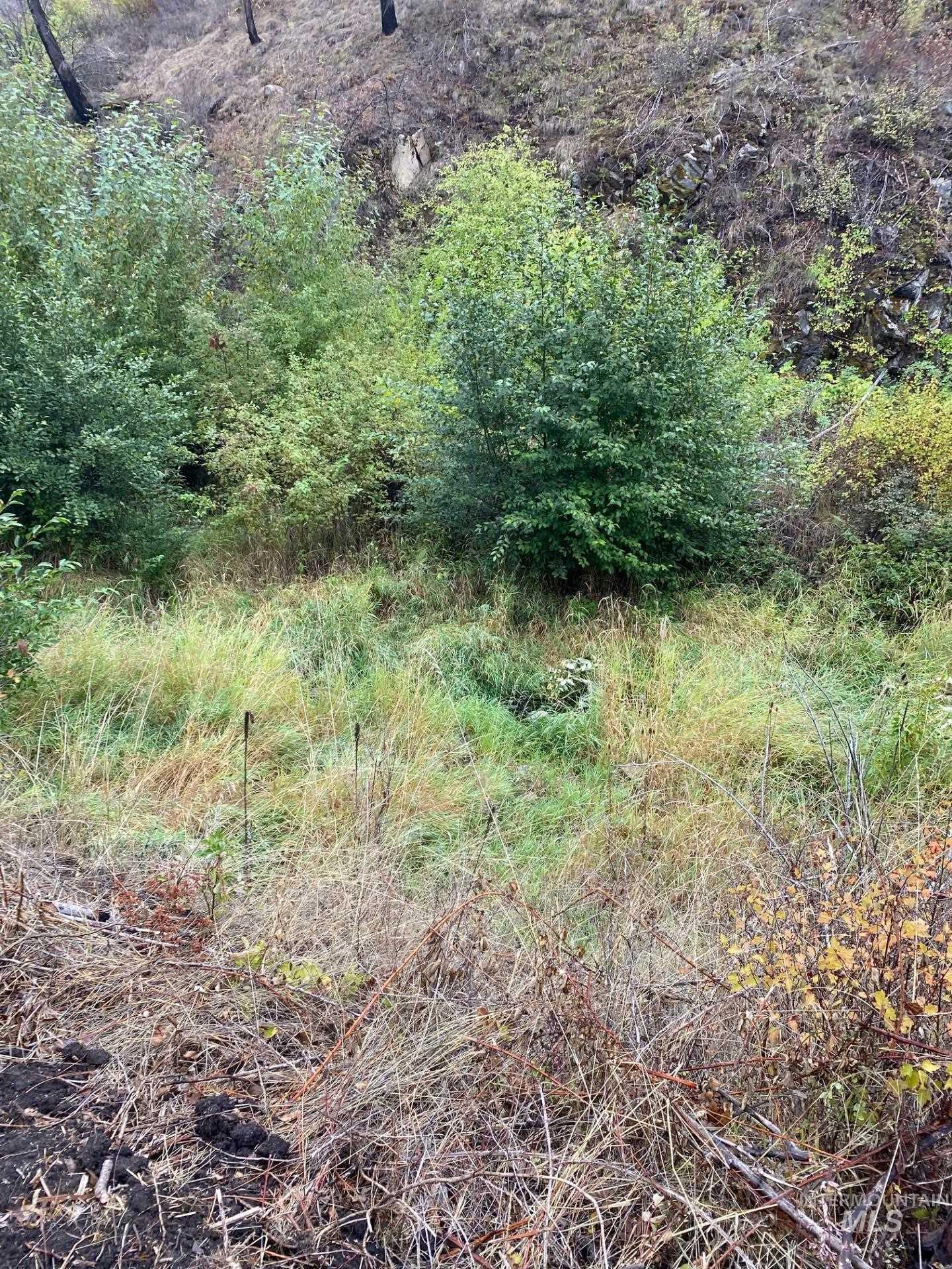 View of nature