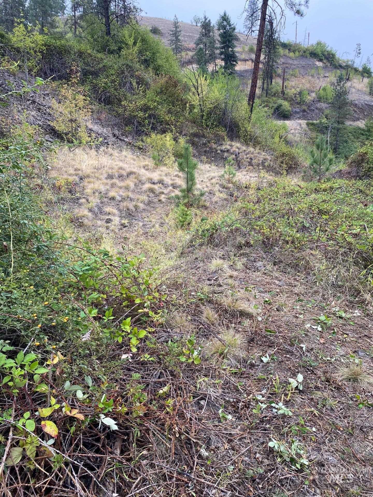 View of local wilderness featuring rural landscape