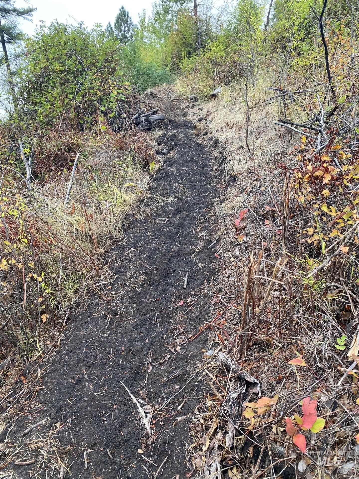 View of local wilderness