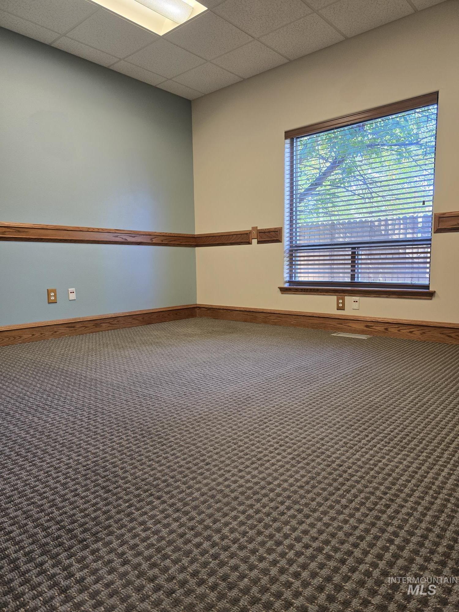 Carpeted empty room with a drop ceiling and baseboards