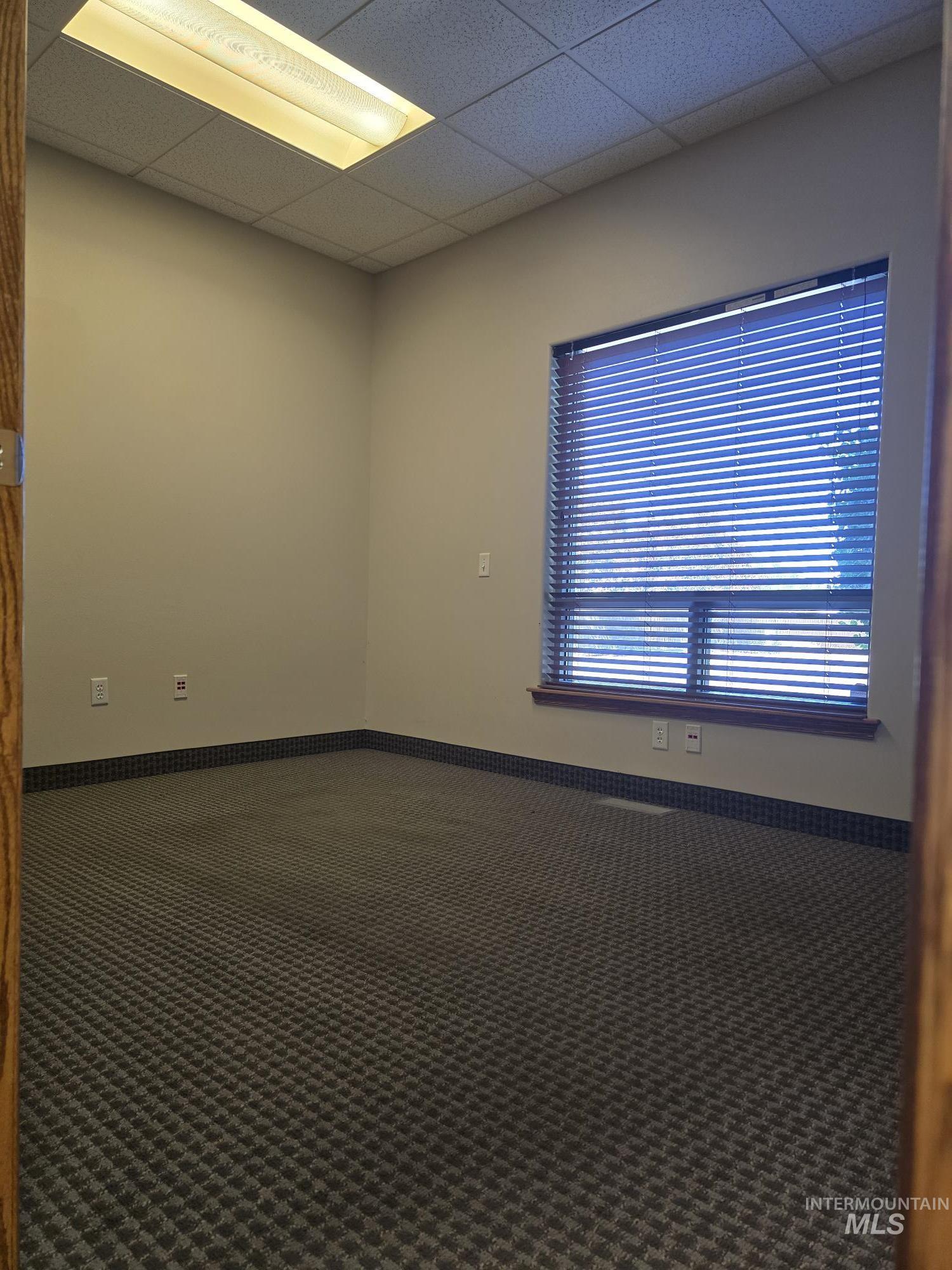 Unfurnished room featuring carpet and a paneled ceiling