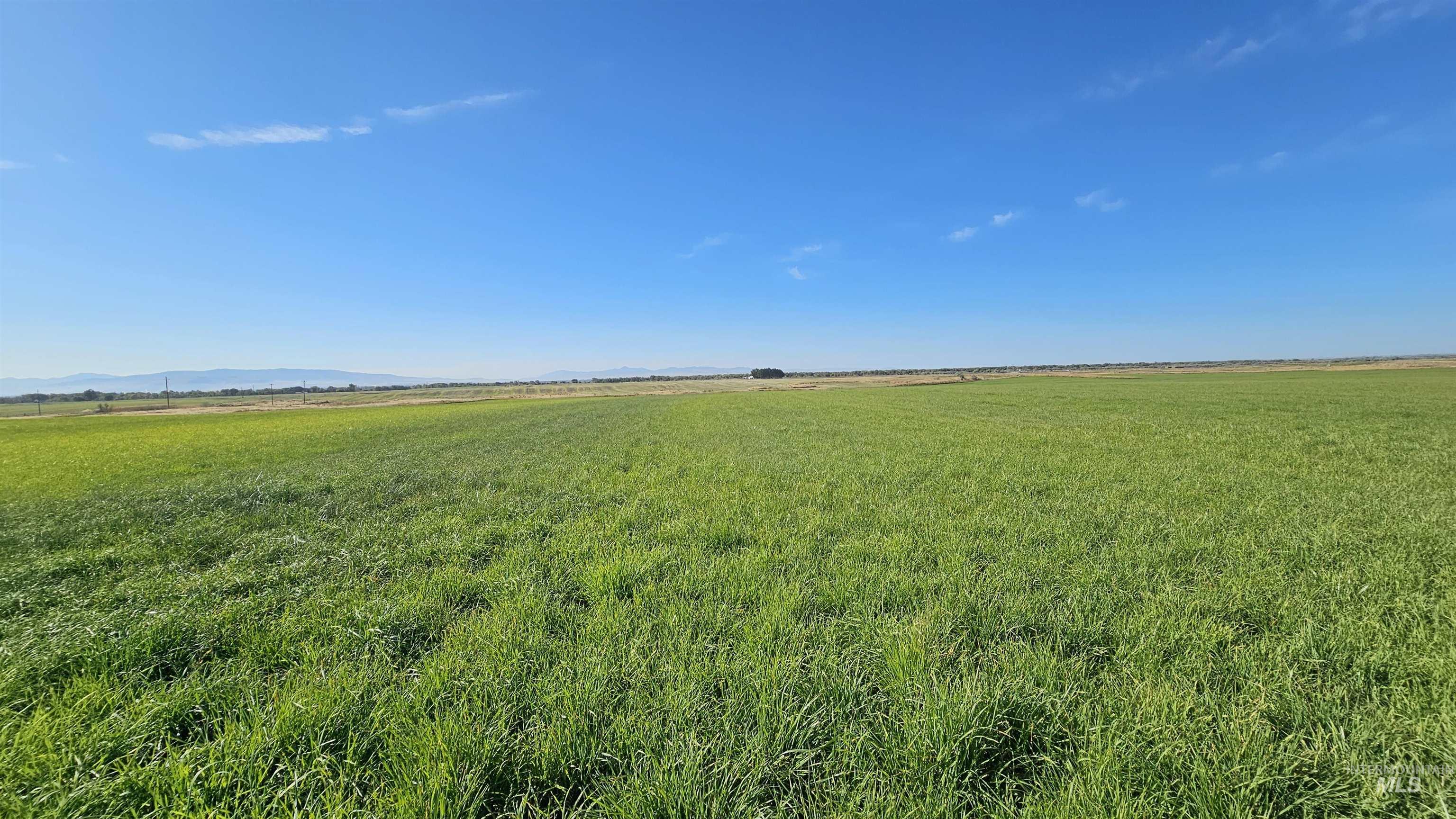 1655 W 1000 S, Pingree, Idaho 83262, 4 Bedrooms, 1 Bathroom, Farm & Ranch For Sale, Price $2,200,000, 98962602