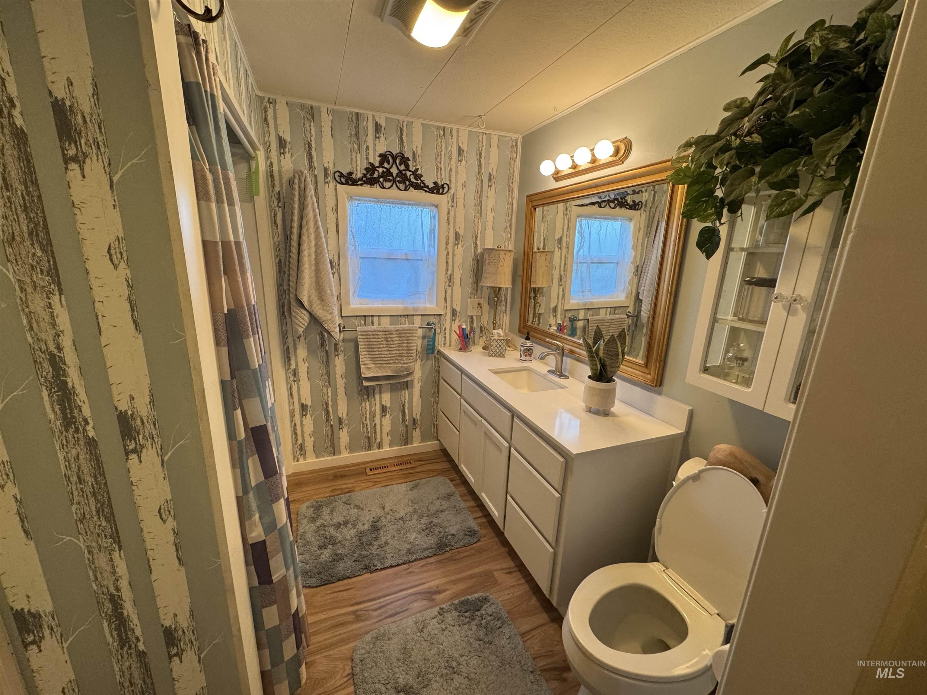 Full bath featuring dark wood-style flooring, vanity, and a shower with shower curtain