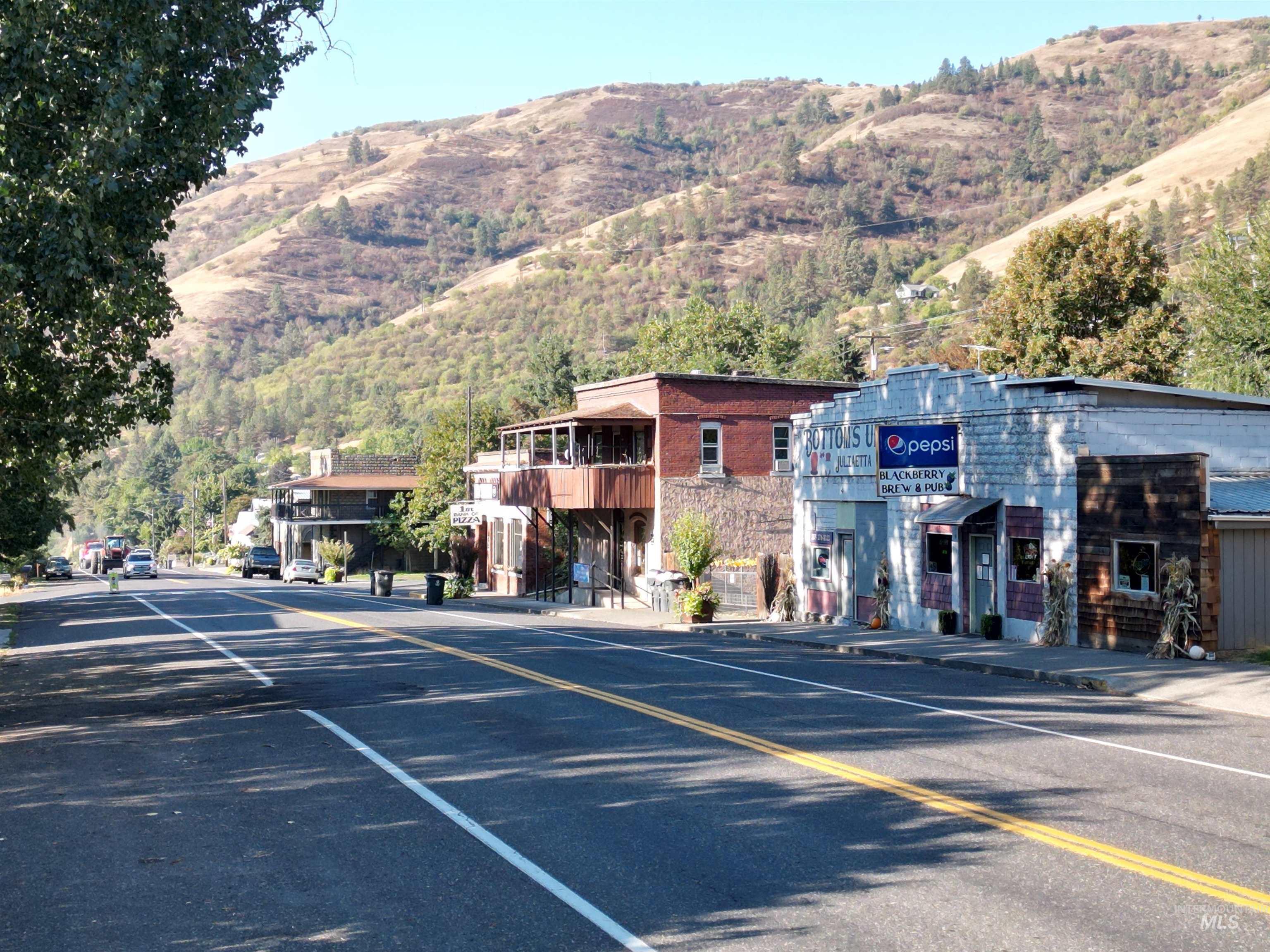 309 Main Street, Juliaetta, Idaho 83535, Business/Commercial For Sale, Price $209,000, 98962683