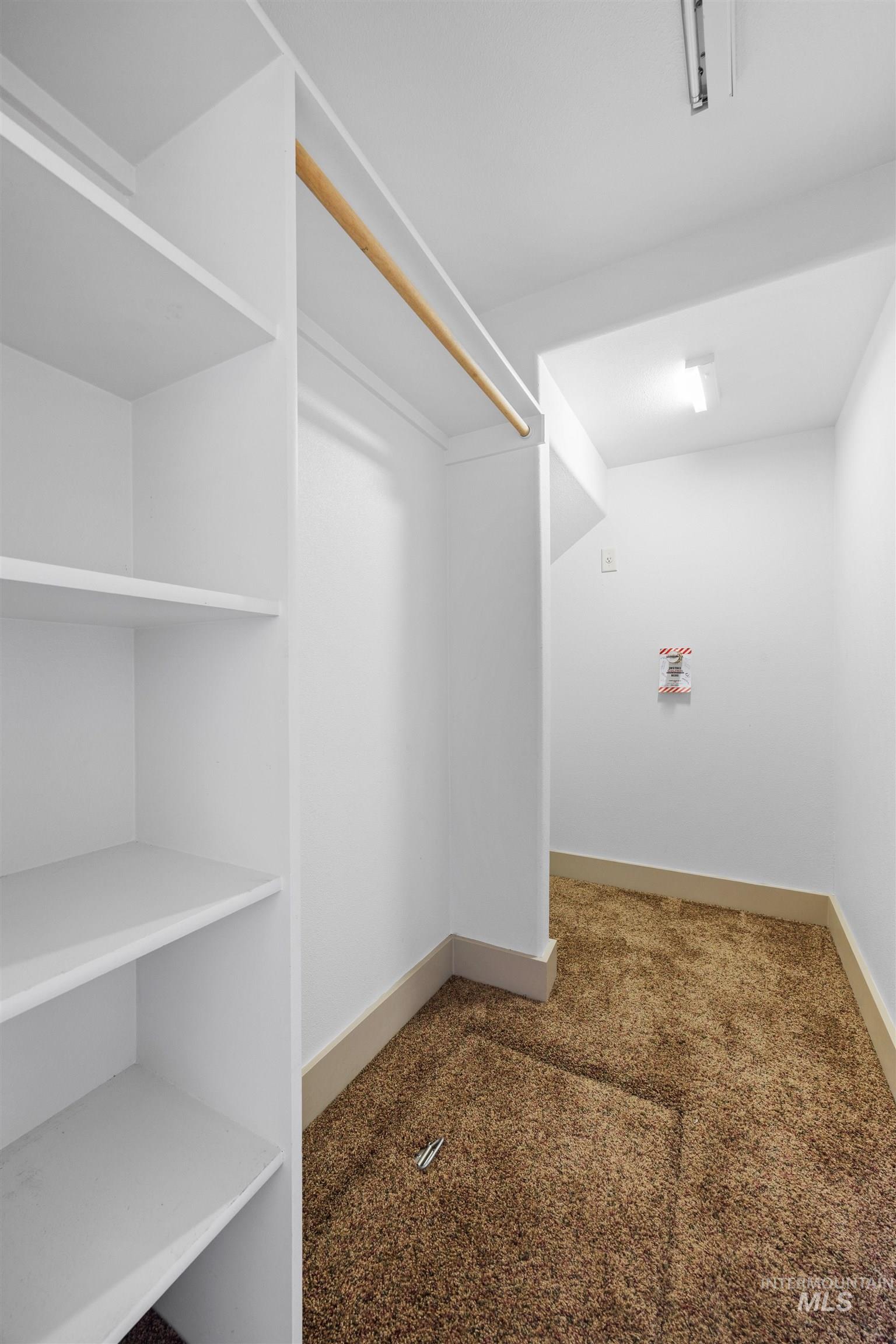 Spacious closet with carpet floors