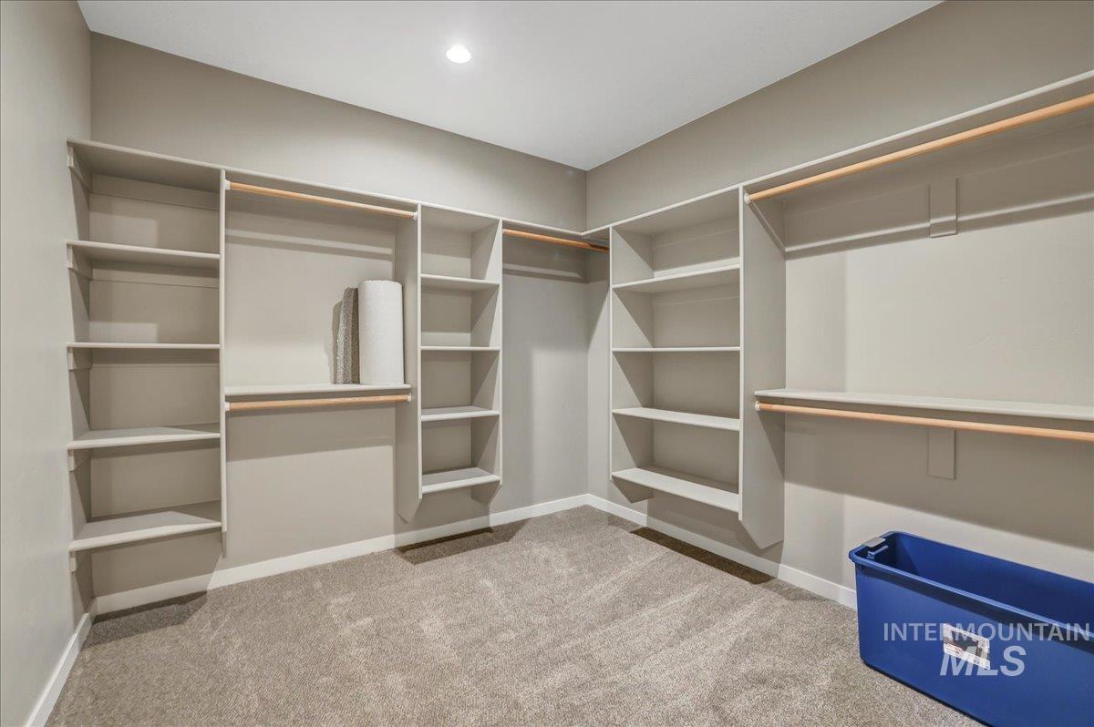 Walk in closet with light carpet