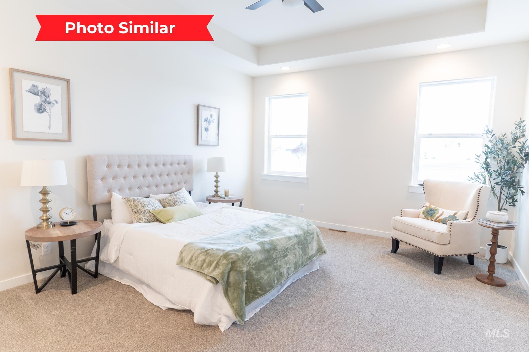 Bedroom featuring light carpet, multiple windows, a raised ceiling, and a ceiling fan
