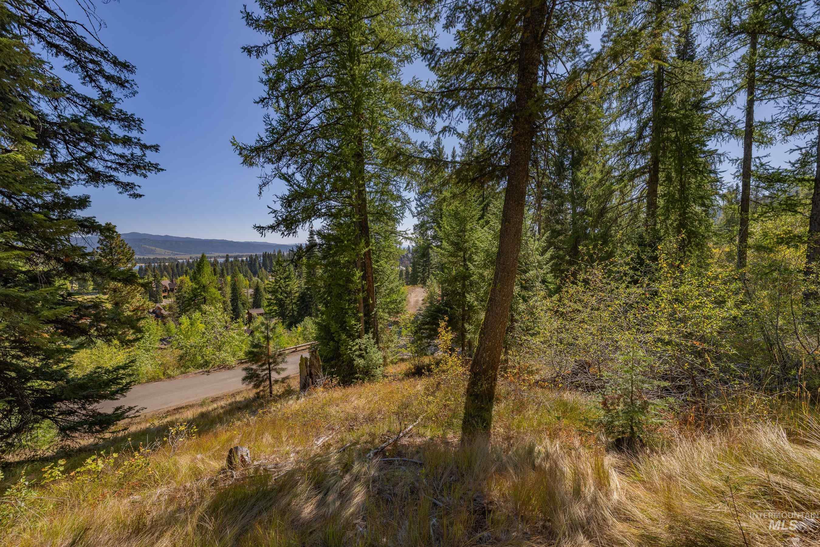 View lot area