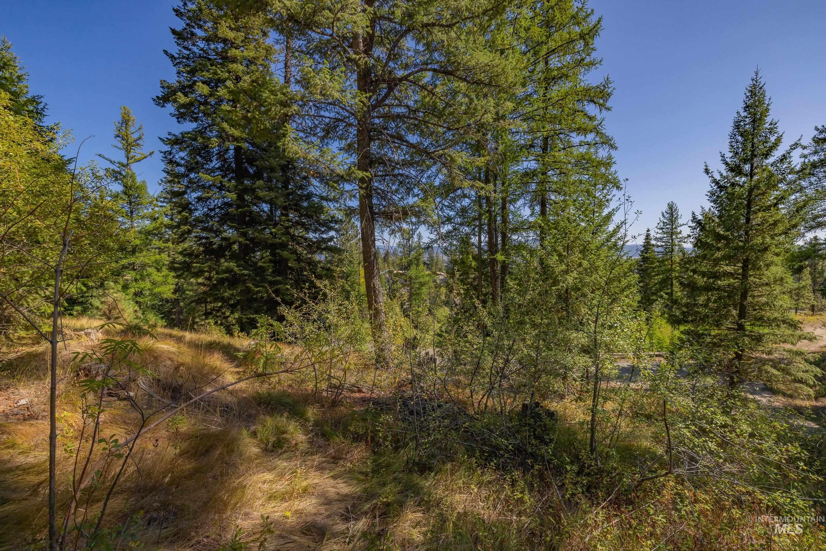 Wooded lot area