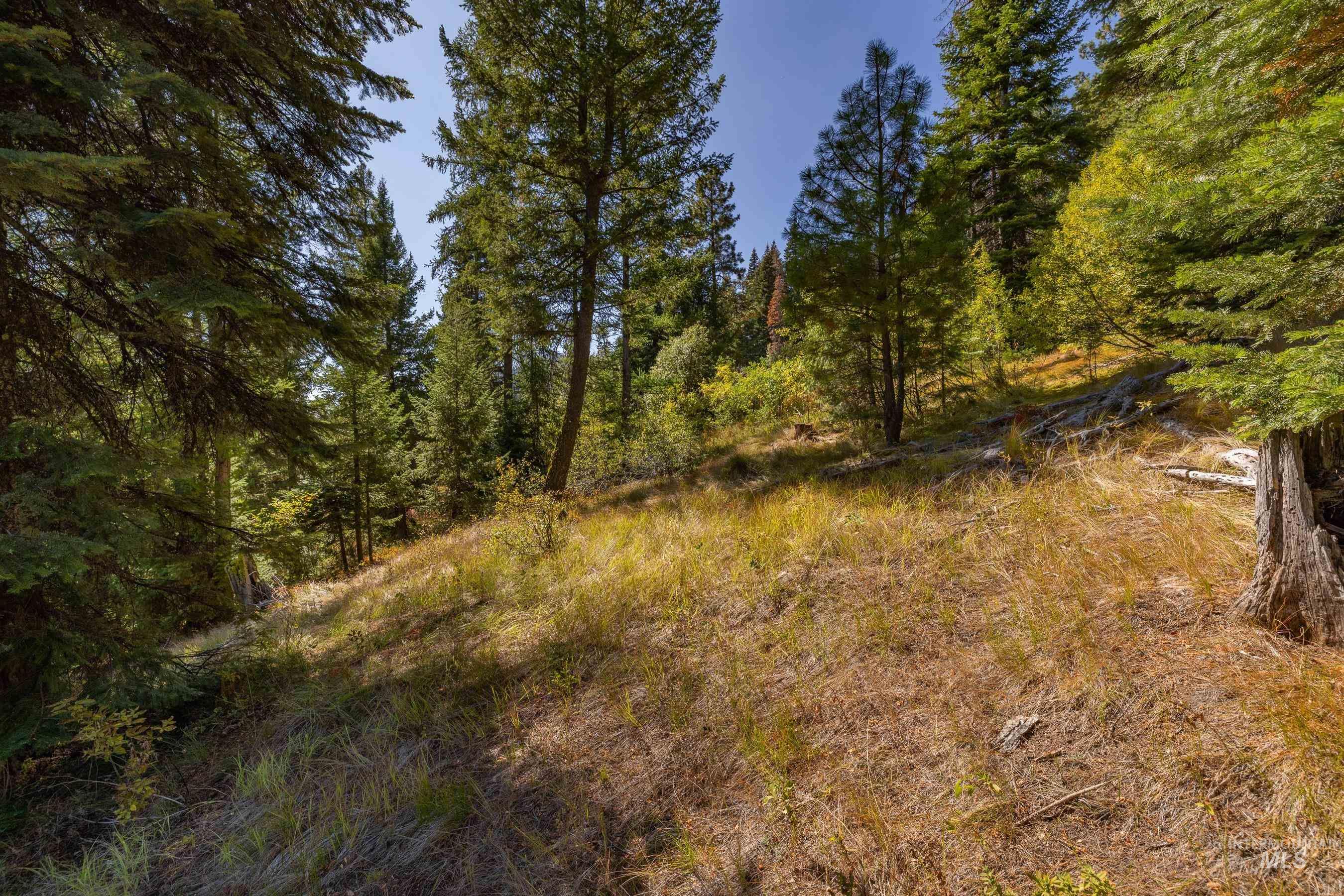 View of wooded lot area