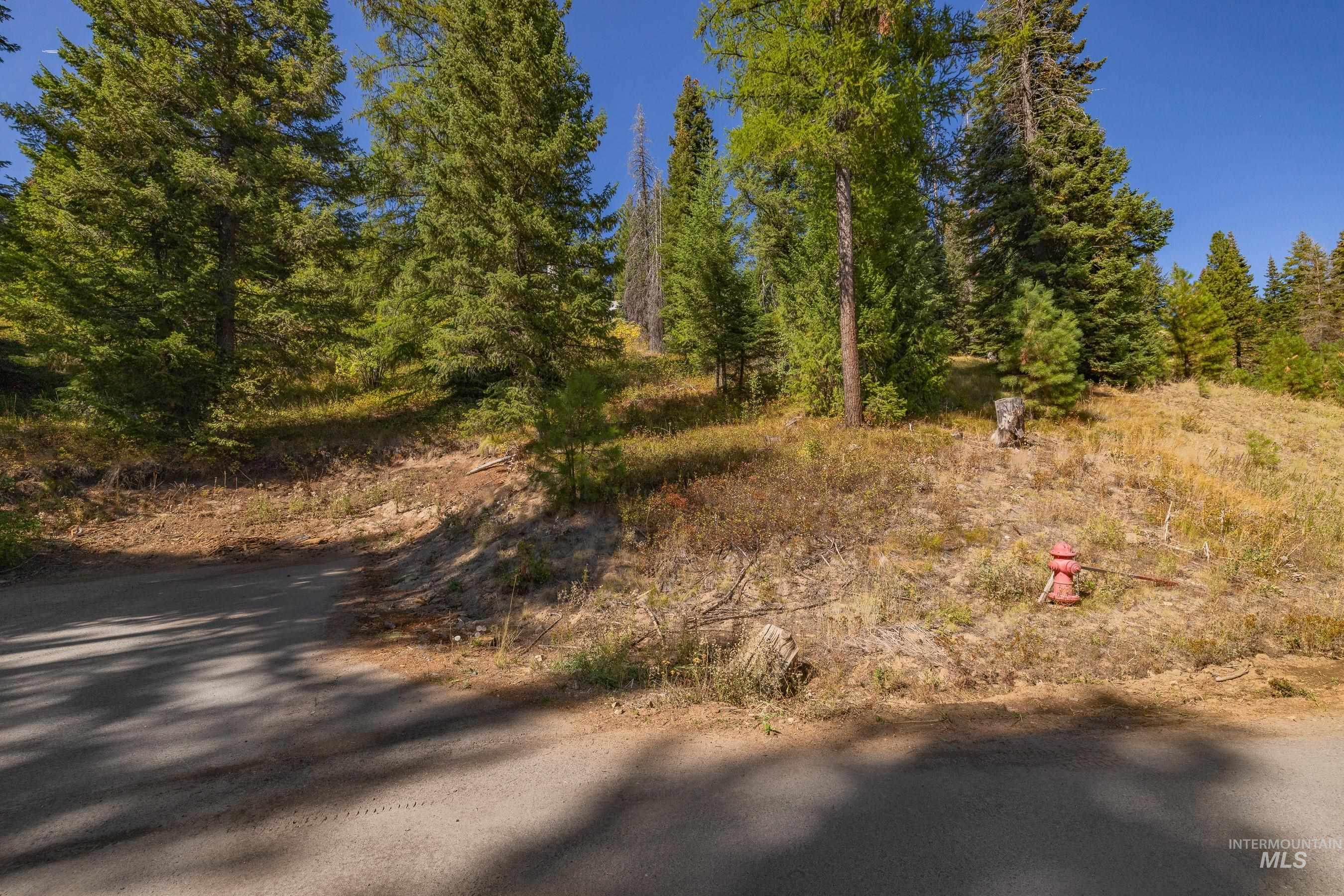 Lot area