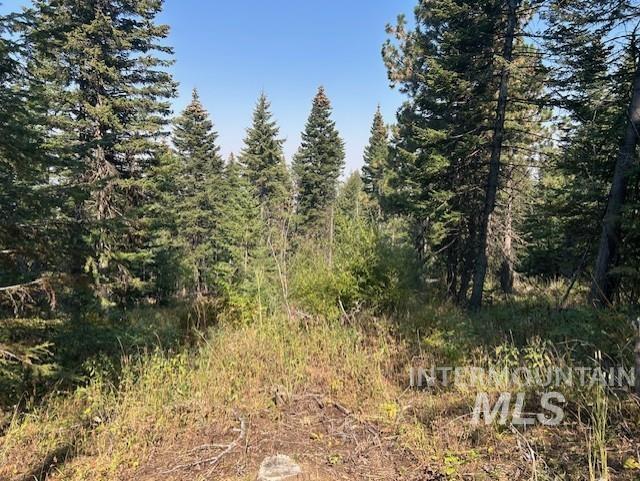 TBD Radar Rd, CottonWood, Idaho 83522, Land For Sale, Price $50,000, 98963068
