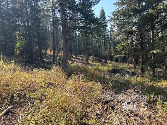 View of nature