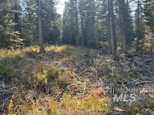 View of local wilderness