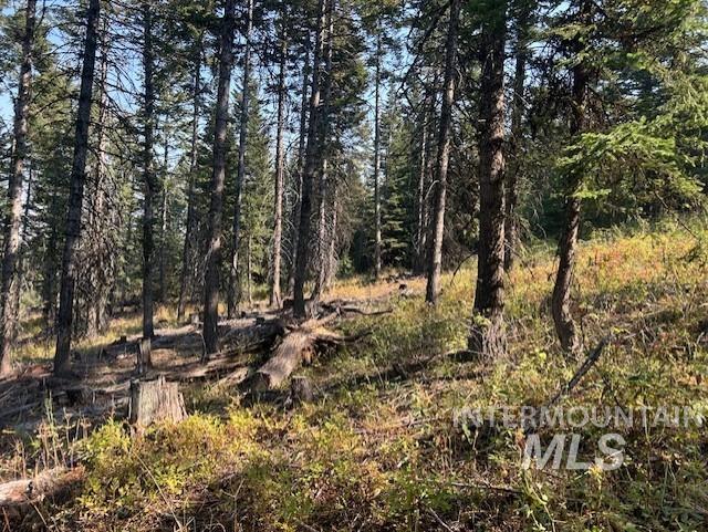 View of wooded area