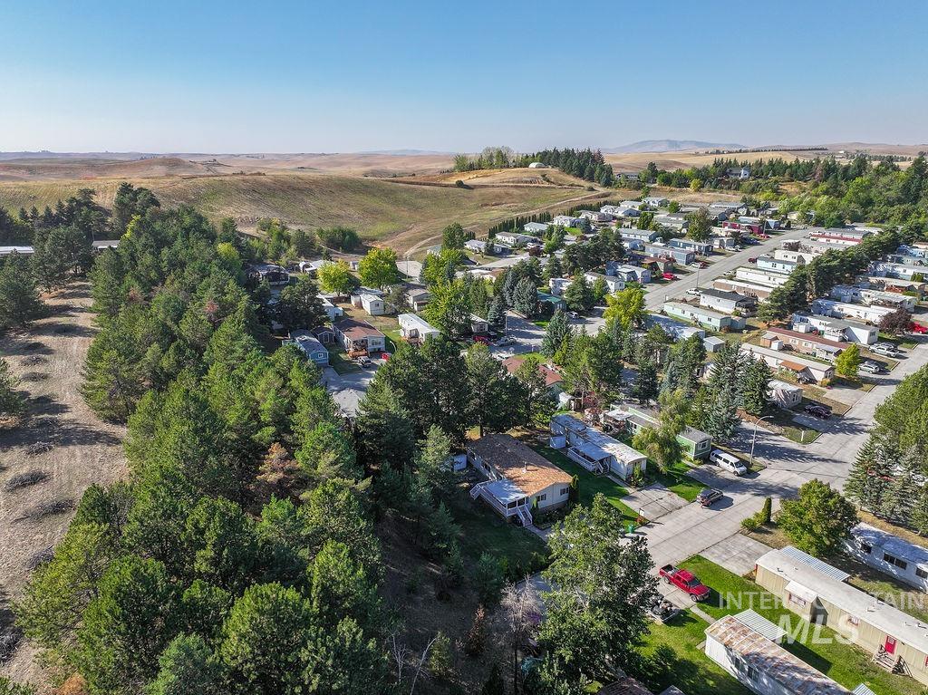 Aerial perspective of suburban area