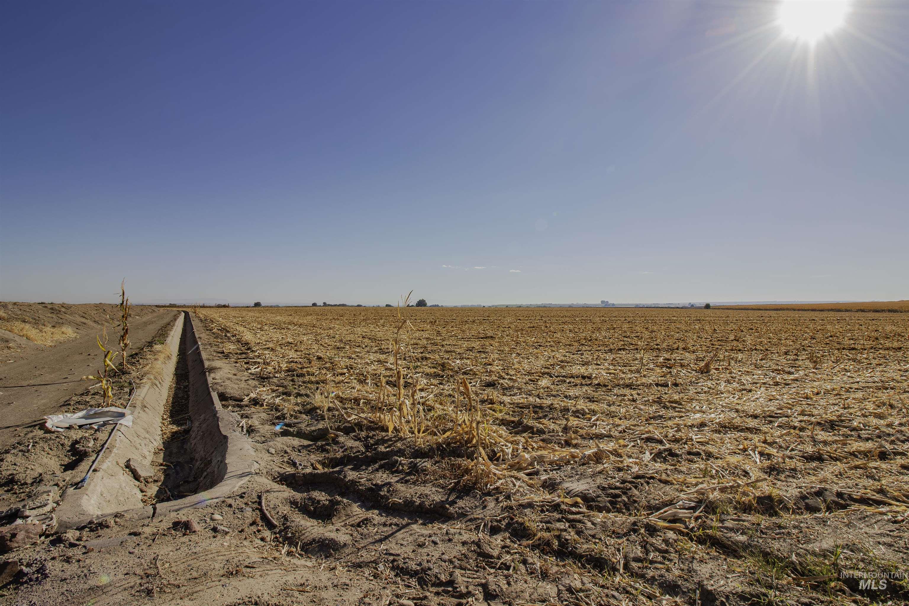 887 Overstreet Road, Nyssa, Oregon 97913, 3 Bedrooms, 2.5 Bathrooms, Farm & Ranch For Sale, Price $1,250,000,MLS 98963110