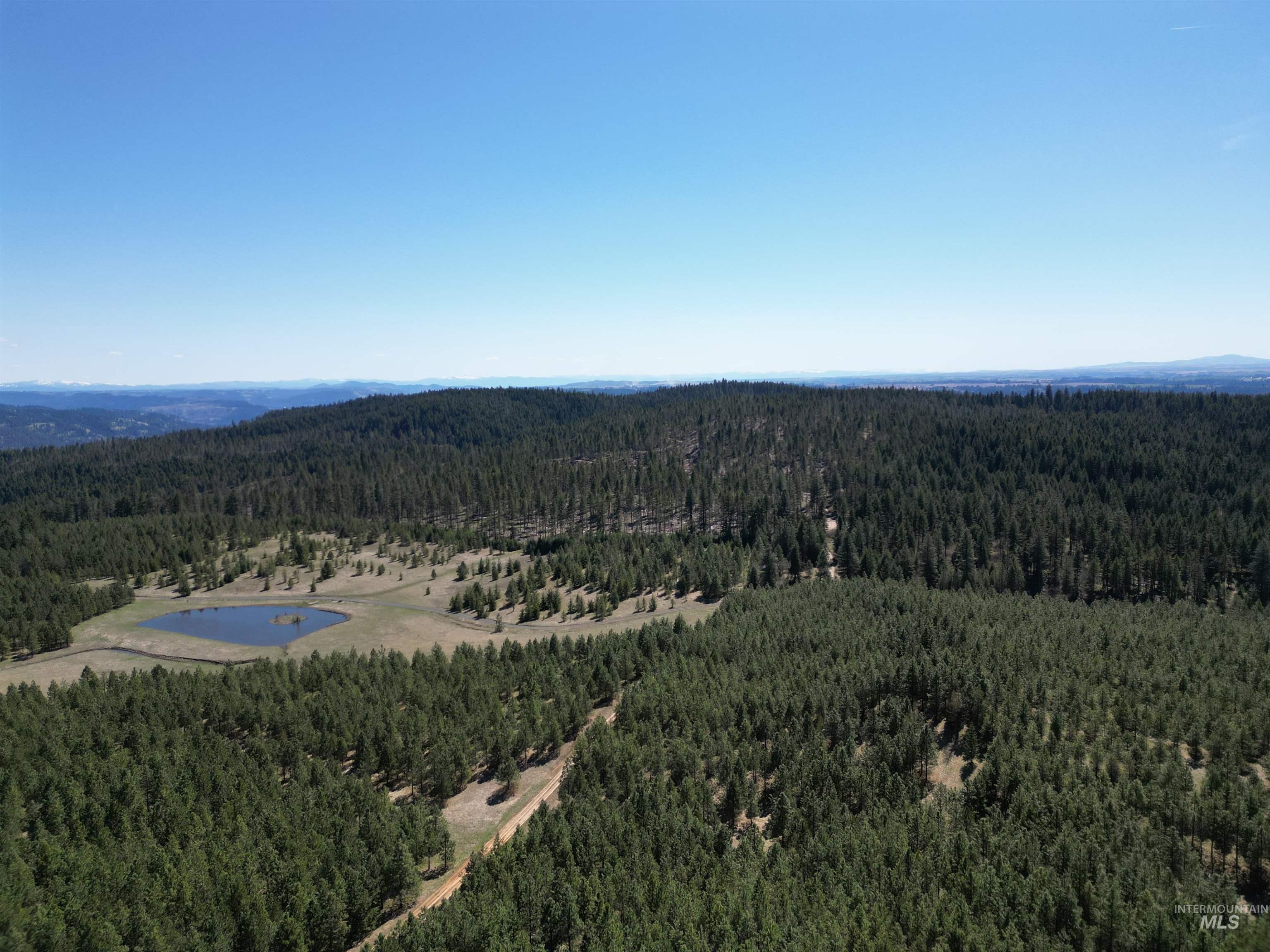 Drone / aerial view of a forest and a large body of water