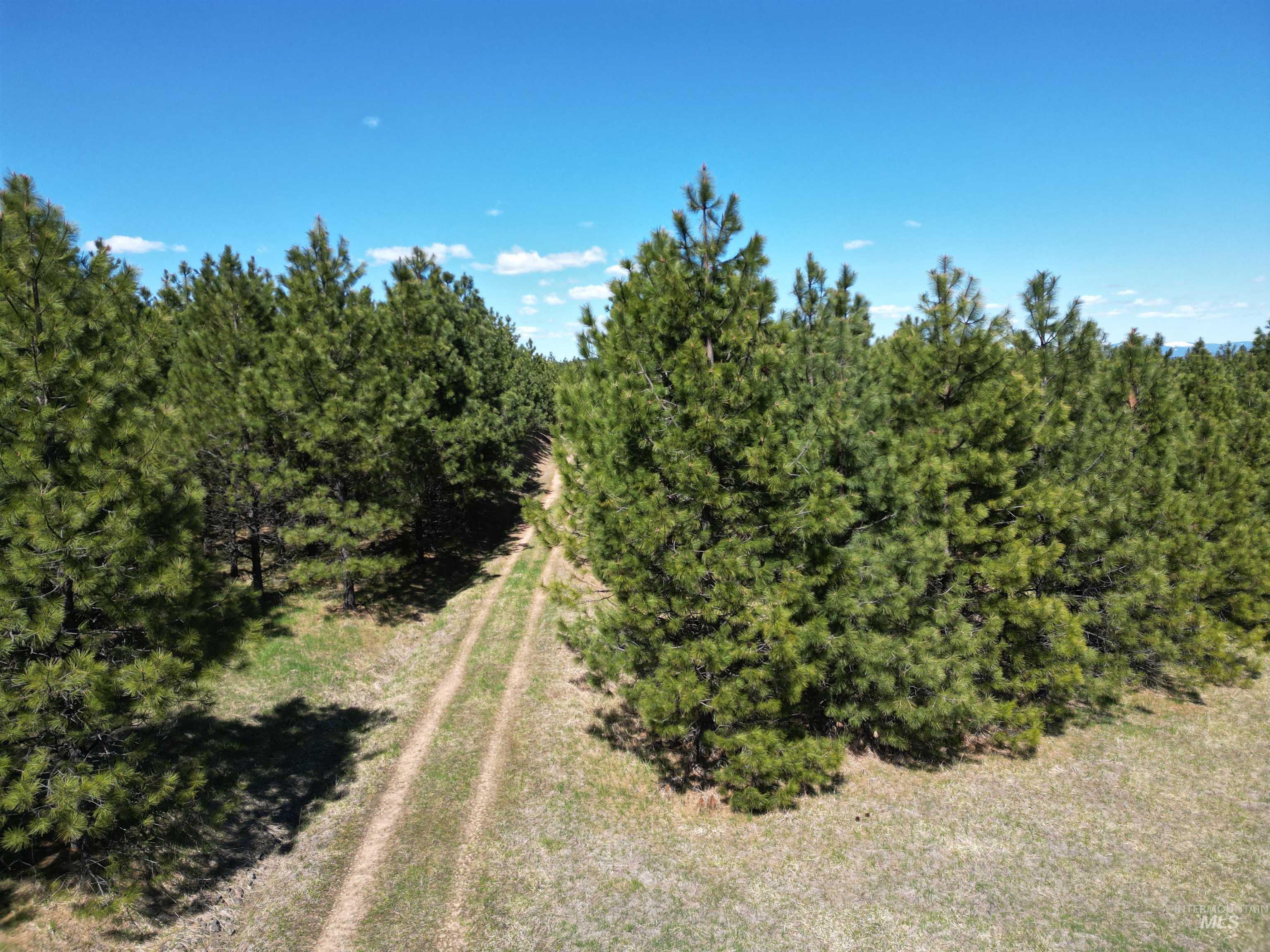 View of undeveloped land