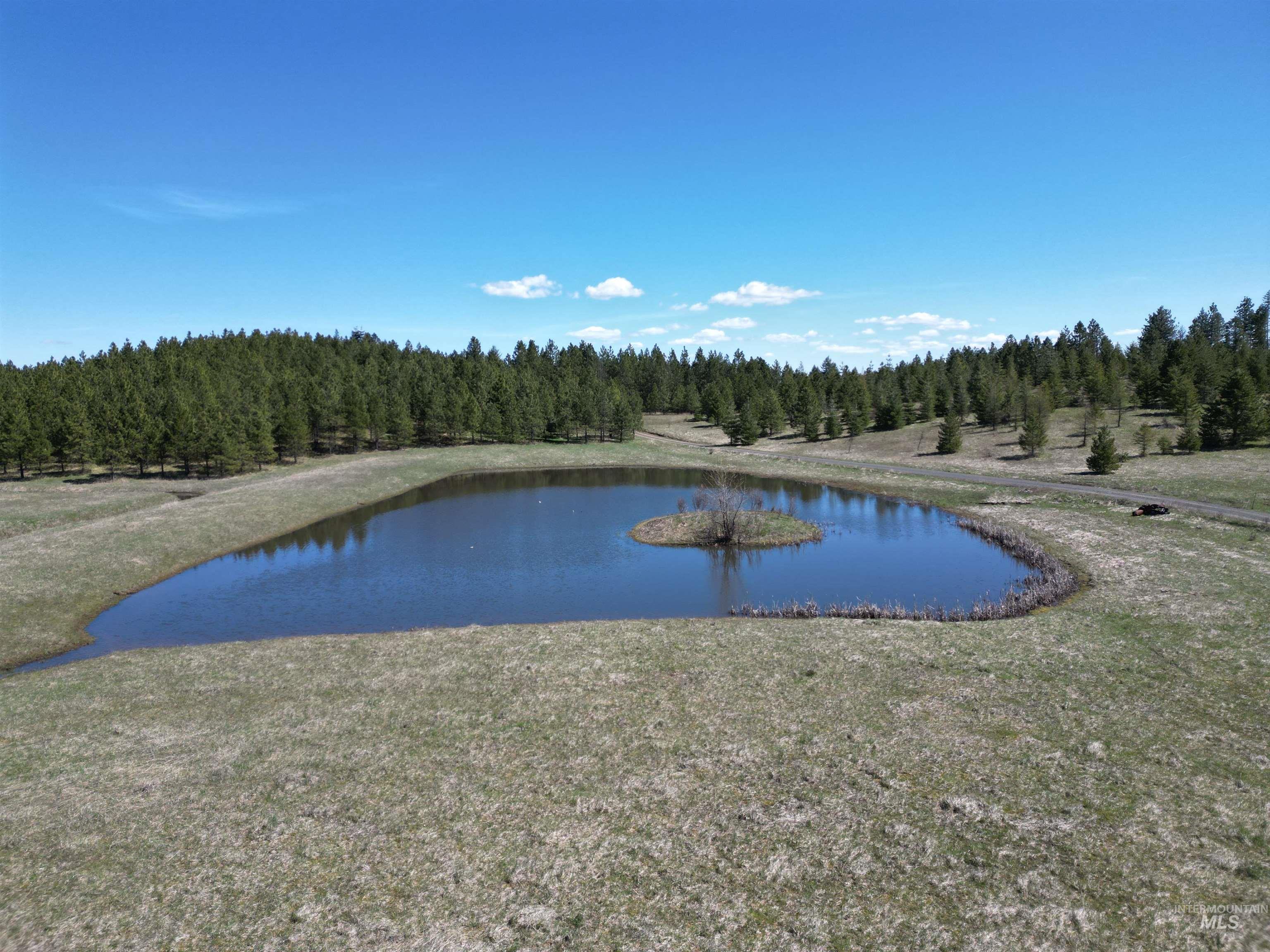 Water view featuring a forest