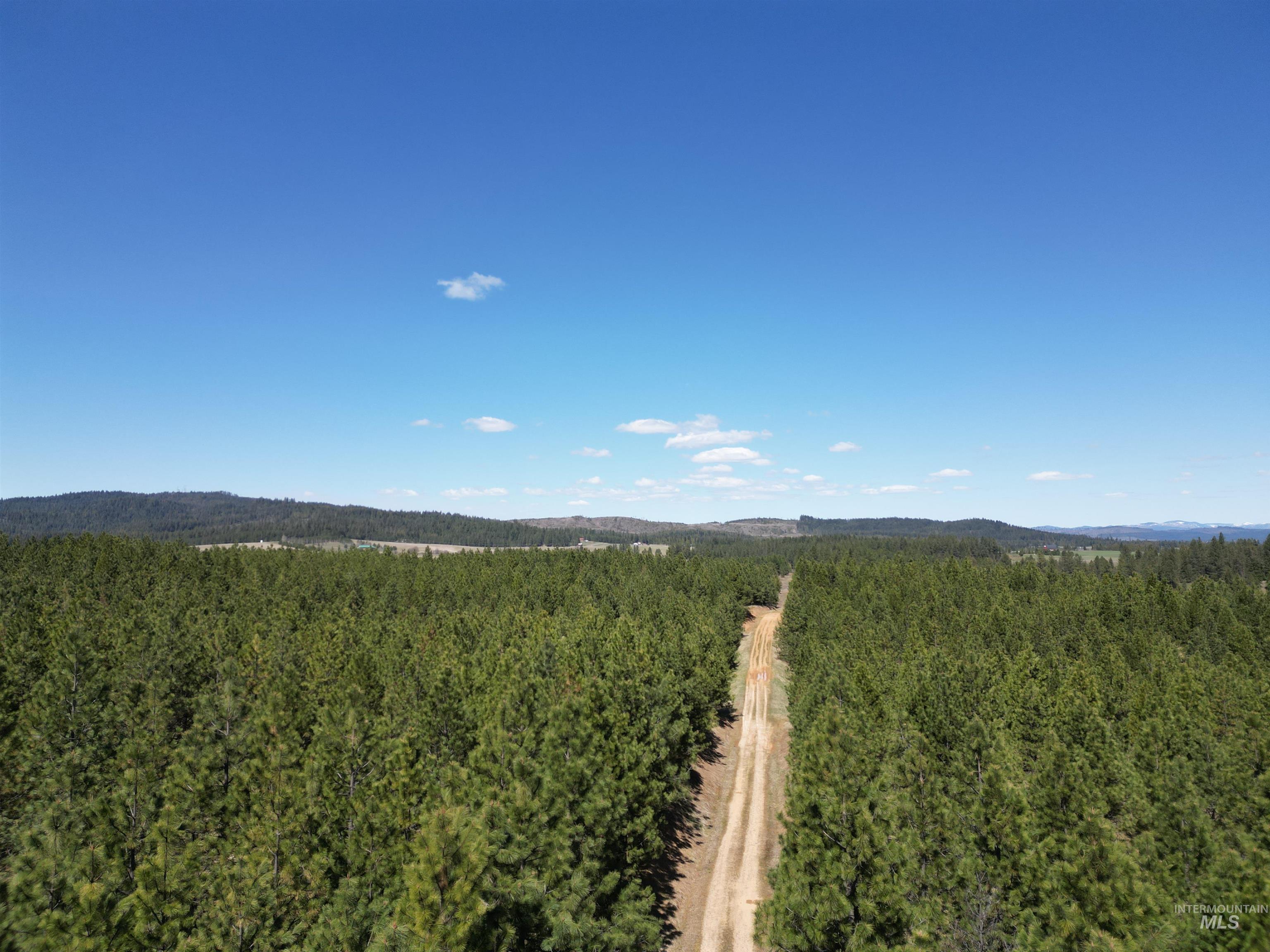 Aerial view of a heavily wooded area and mountains