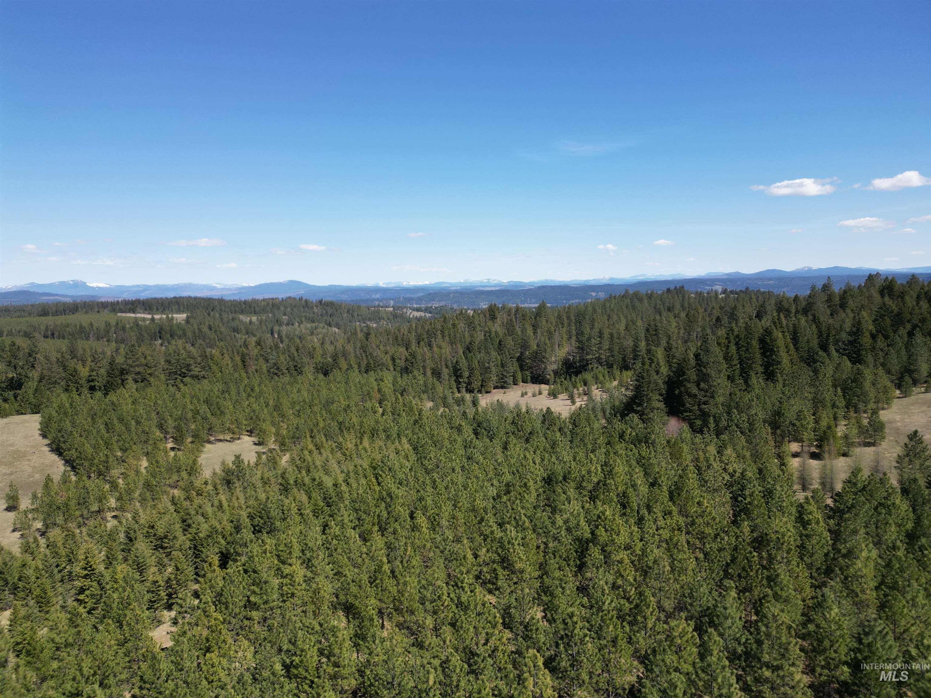 Drone / aerial view of a heavily wooded area and a mountainous background