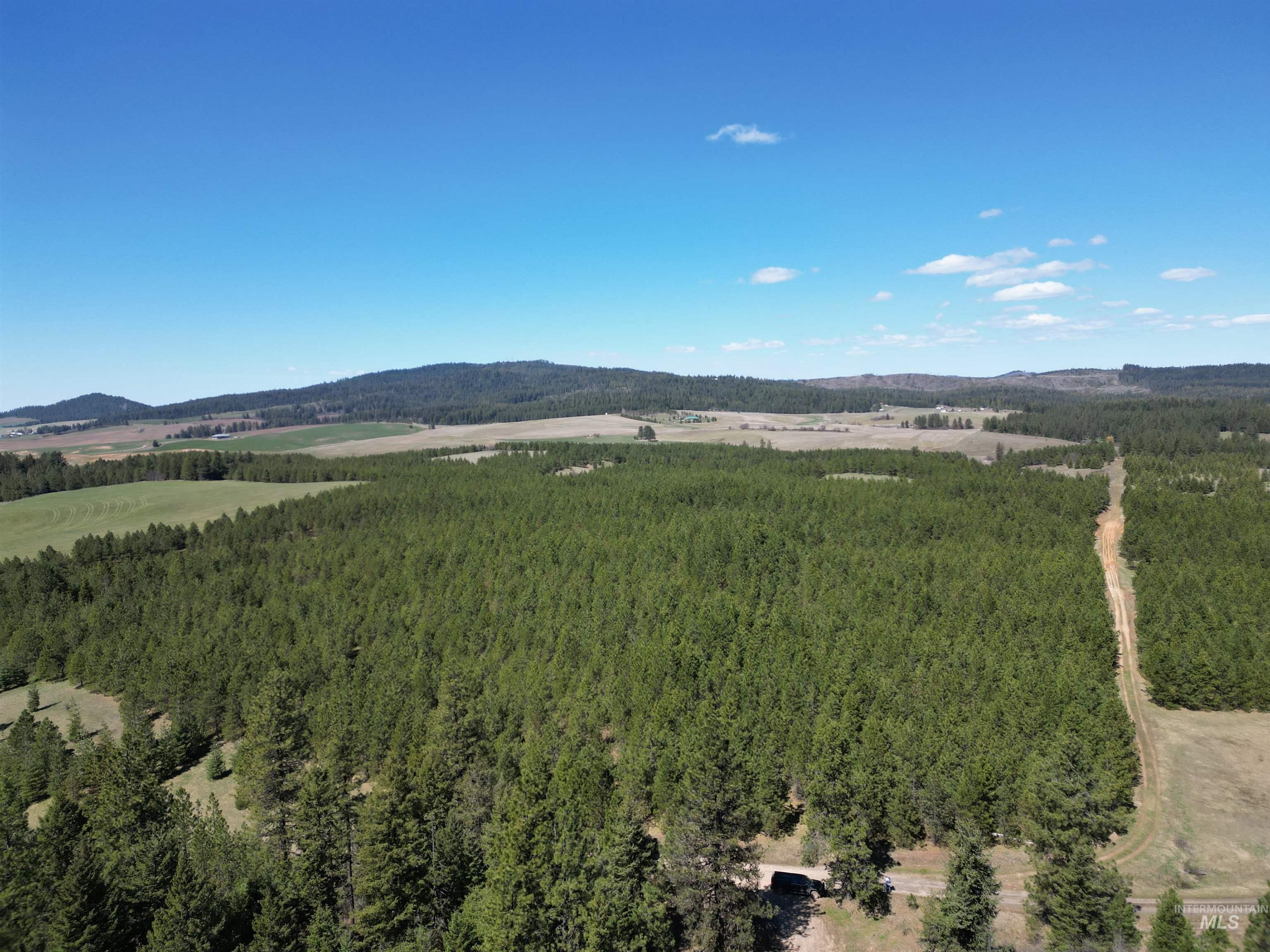 Drone / aerial view of a heavily wooded area and a mountain backdrop