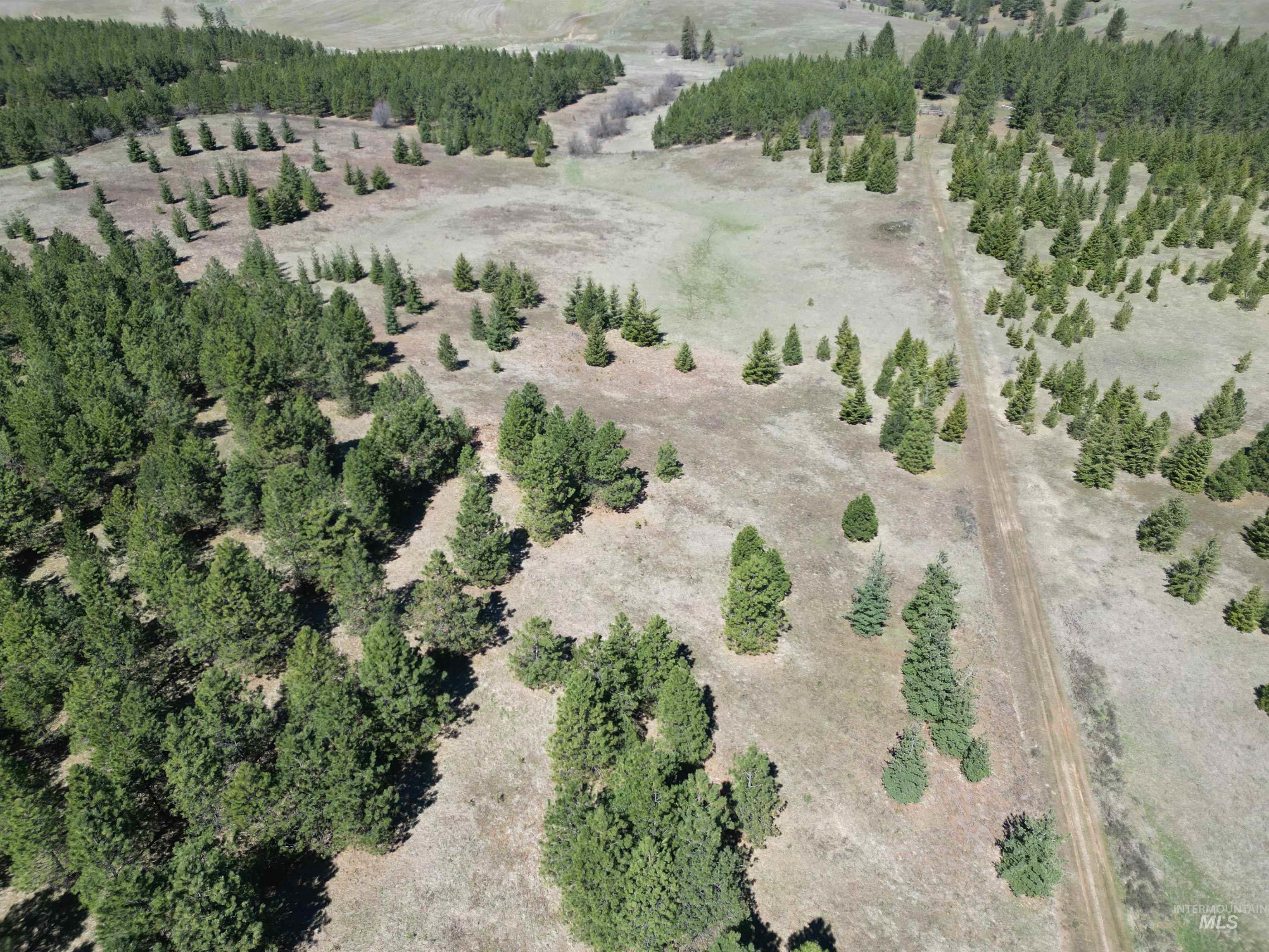 Overview of rural landscape featuring a heavily wooded area