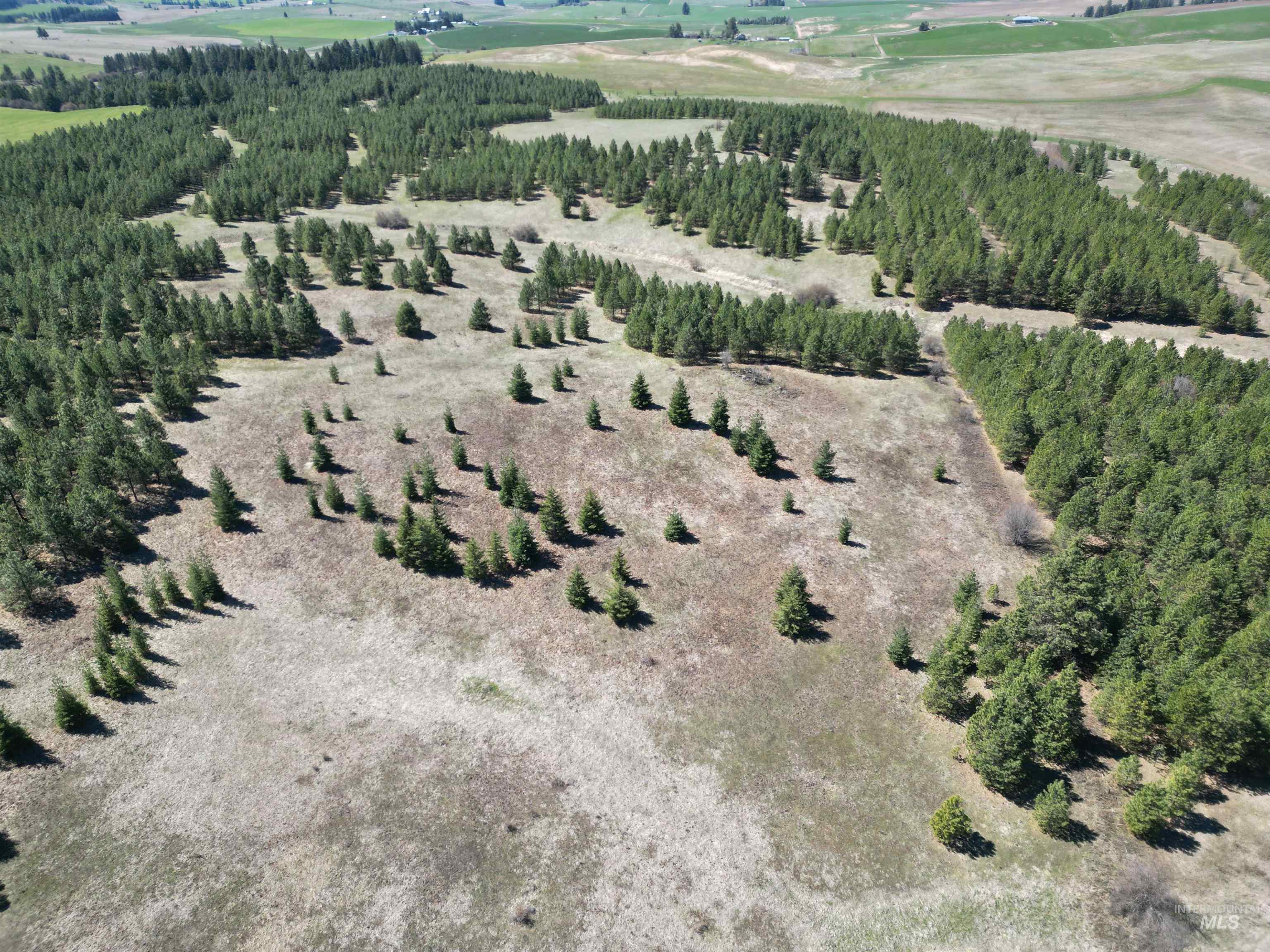 Aerial view of property and surrounding area