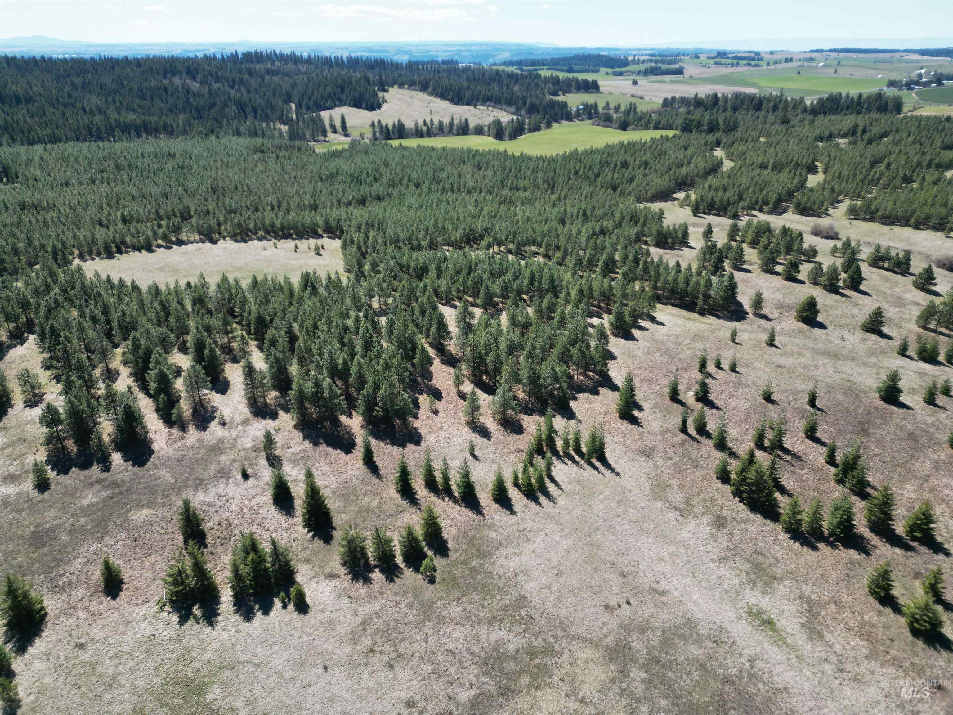 Bird's eye view of a heavily wooded area