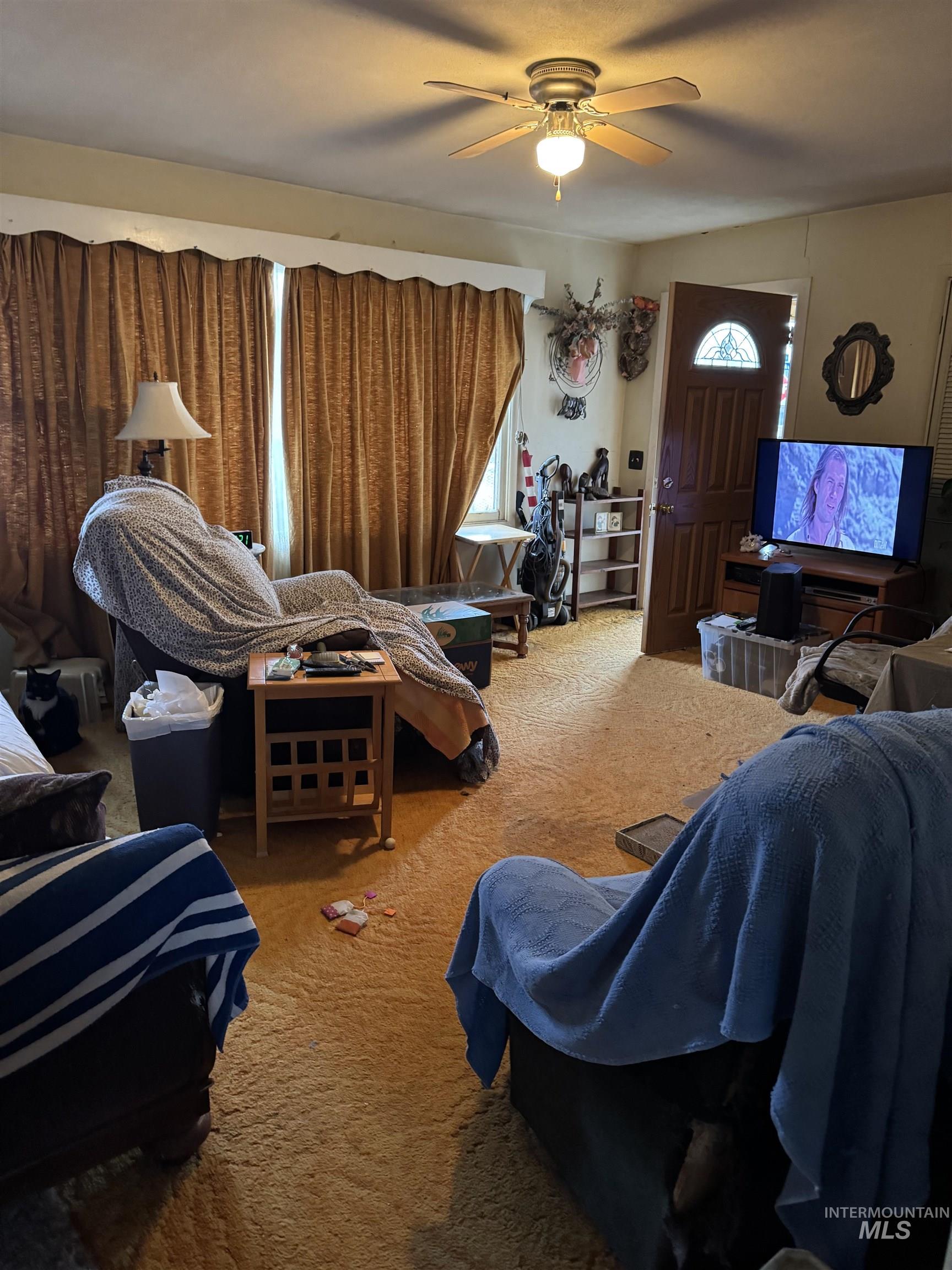 Living room with carpet flooring and a ceiling fan