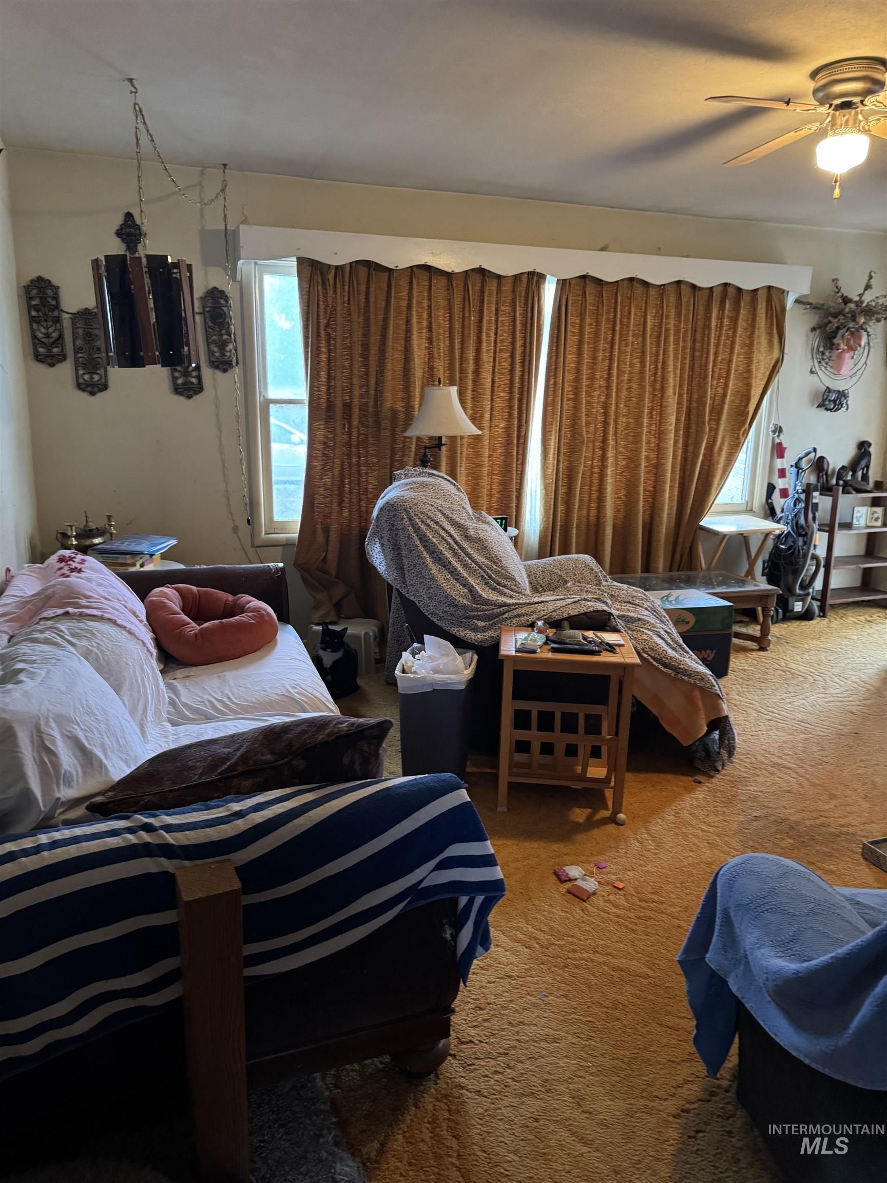 Carpeted living room featuring ceiling fan