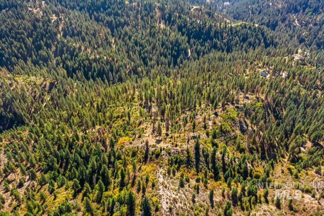 Boise National Forest aerial view of subject property