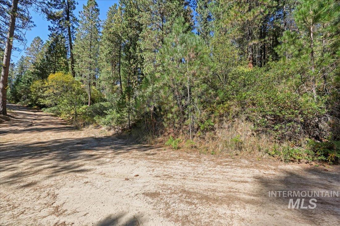 Near SE Corner of Subject property