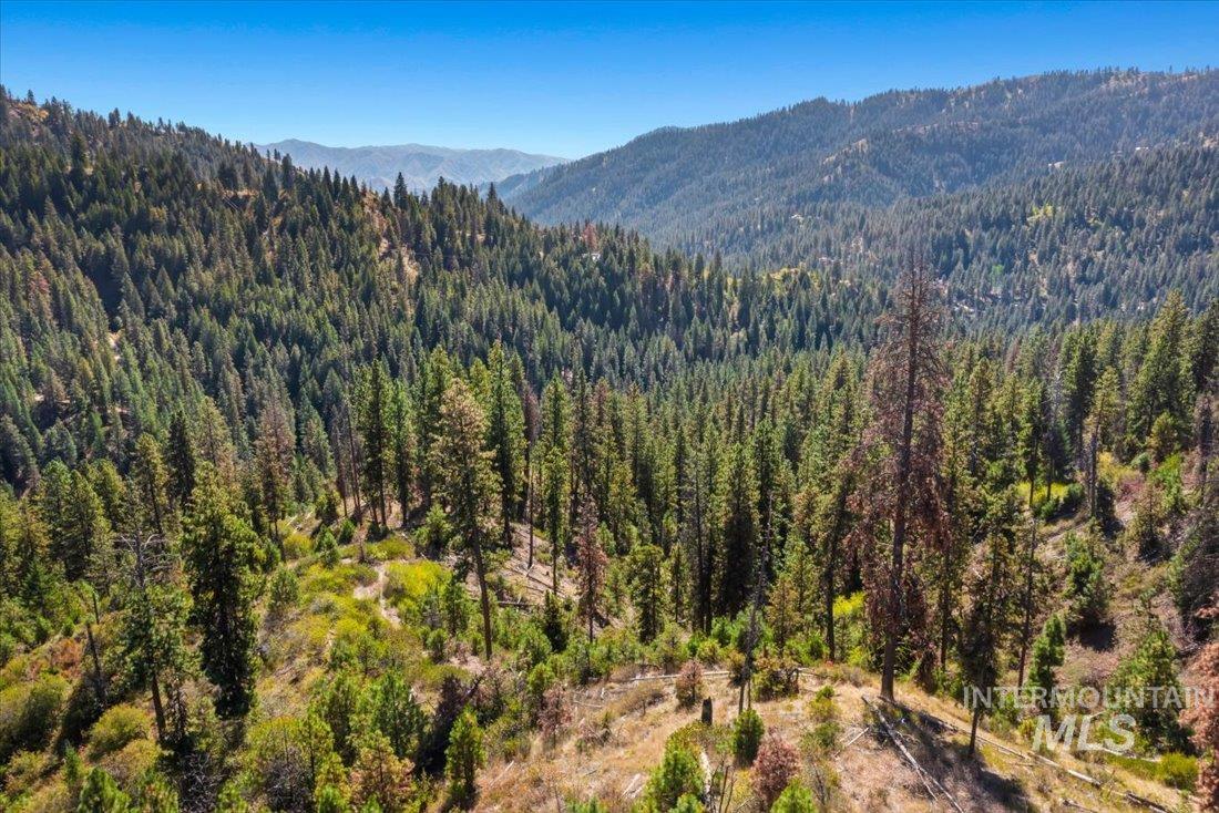 Subject property view of mountain background in the Boise National Forest