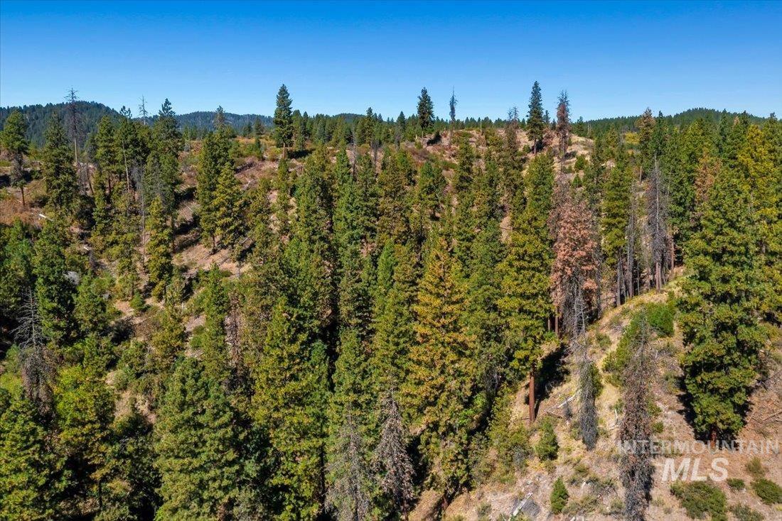 Subject property view of mountain background in the Boise National Forest