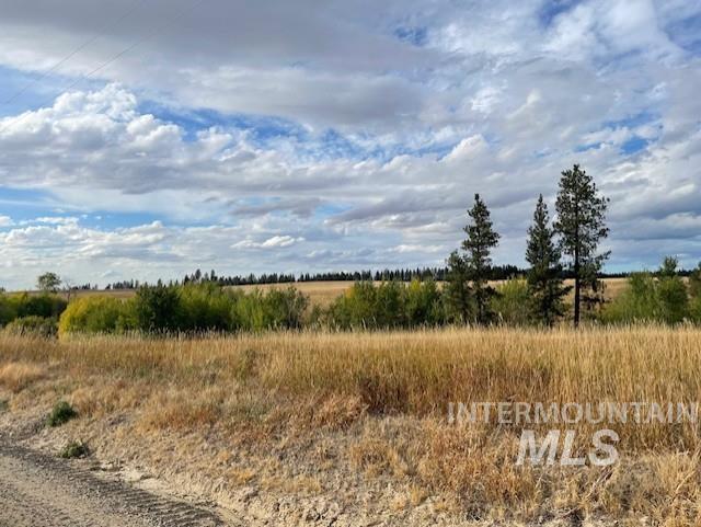 View of undeveloped land featuring rural landscape
