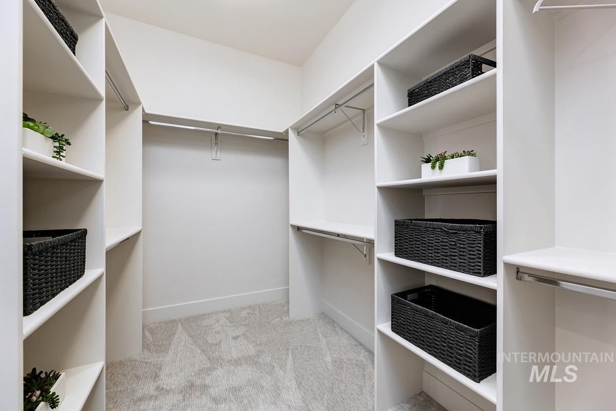 Spacious closet featuring light carpet