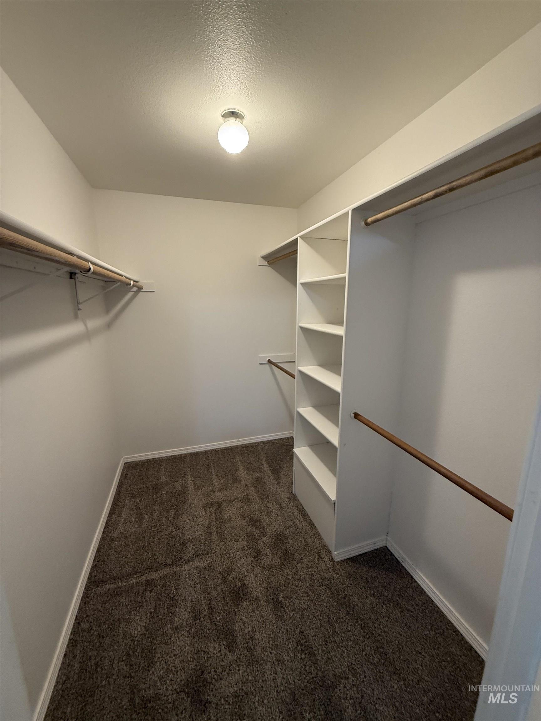 Walk in closet with dark carpet