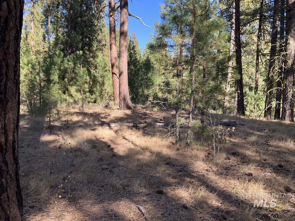 1484 Alberta Court, Cascade, Idaho 83611, Land For Sale, Price $87,900, 98963622