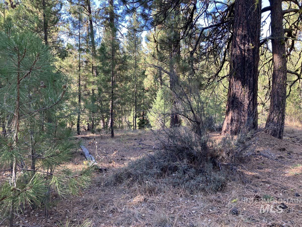 1484 Alberta Court, Cascade, Idaho 83611, Land For Sale, Price $87,900, 98963622
